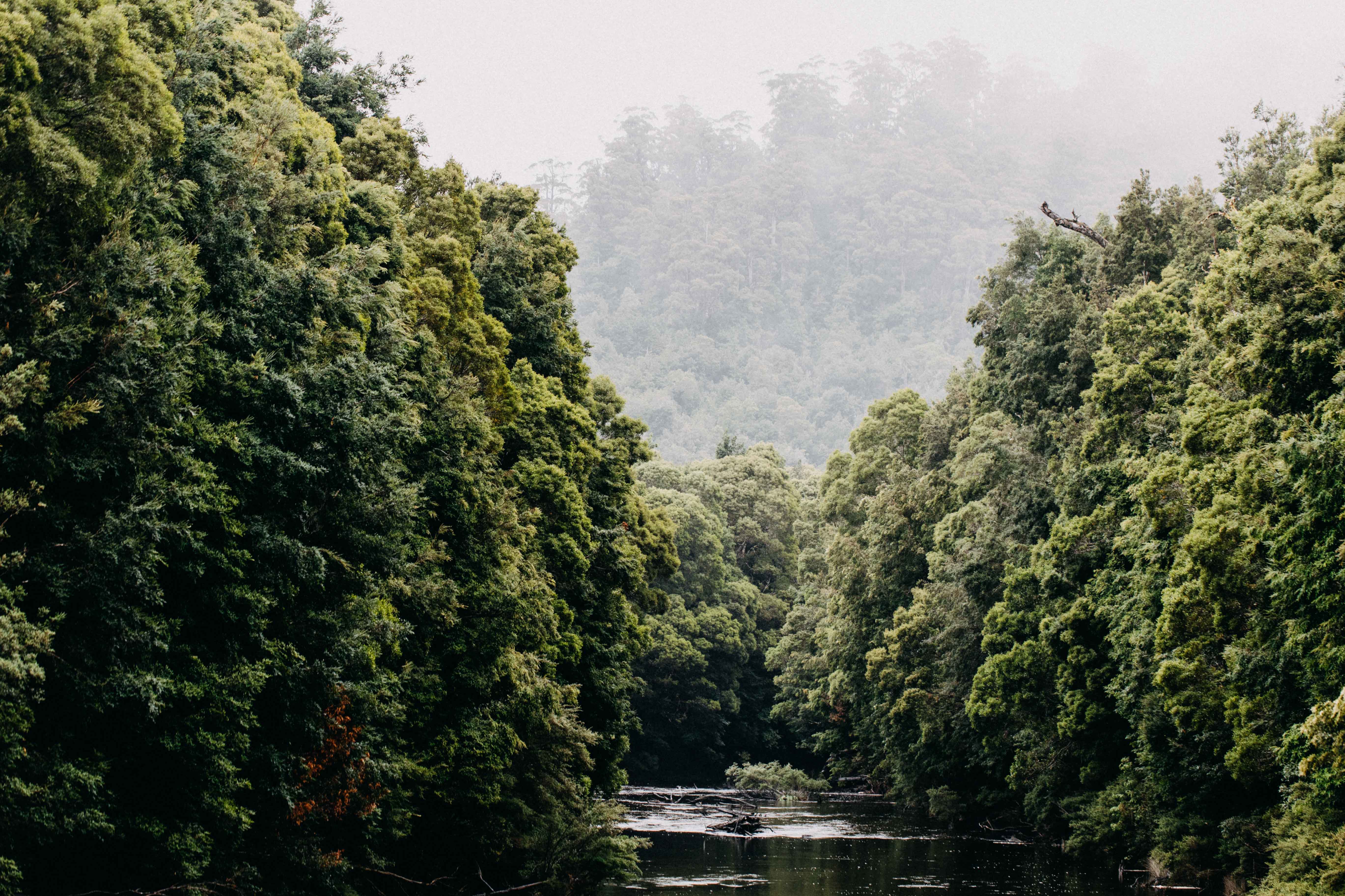 Savage River III Photographic Print