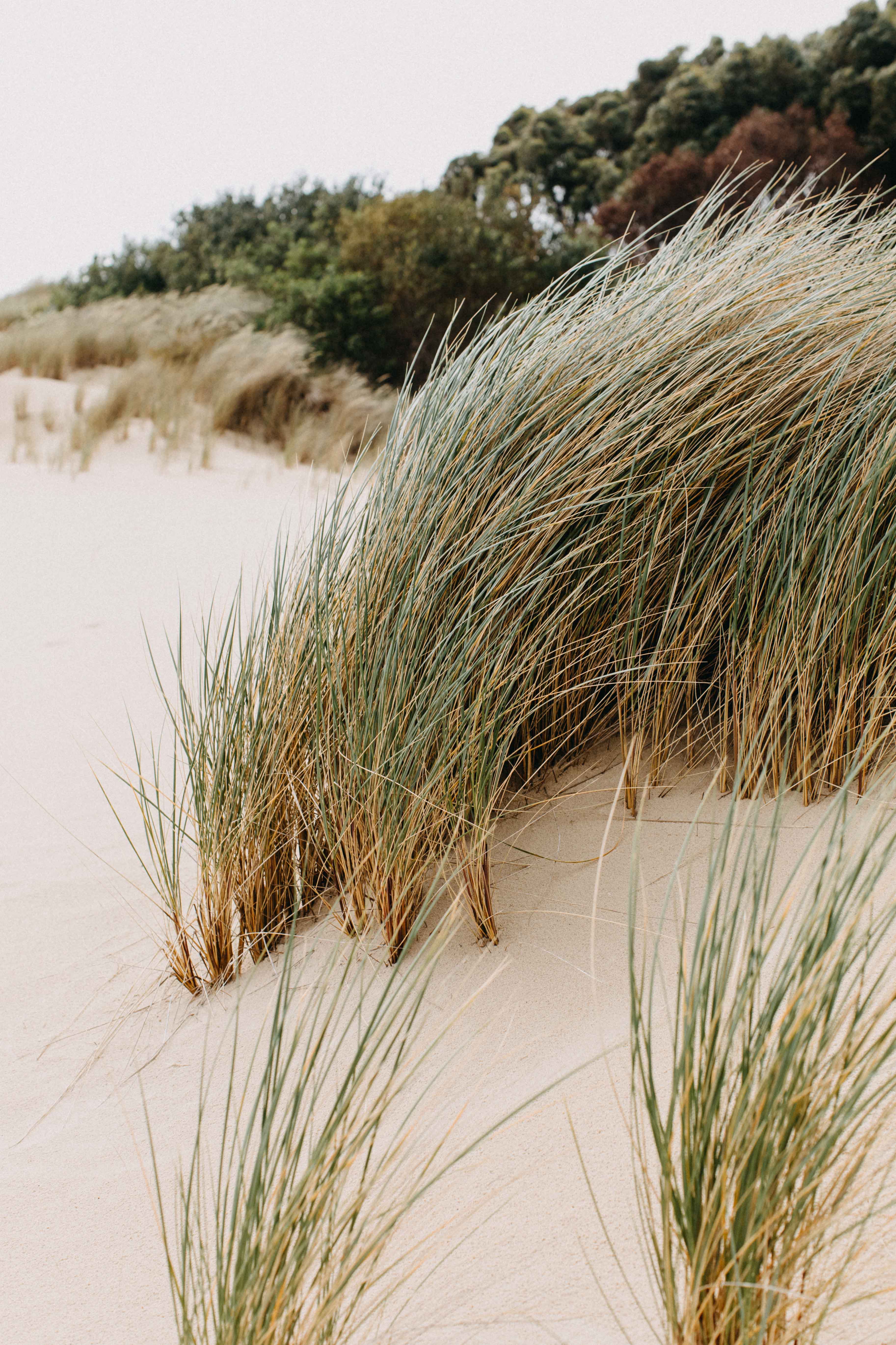Henty Dunes V Photographic Print - Emily O'Brien