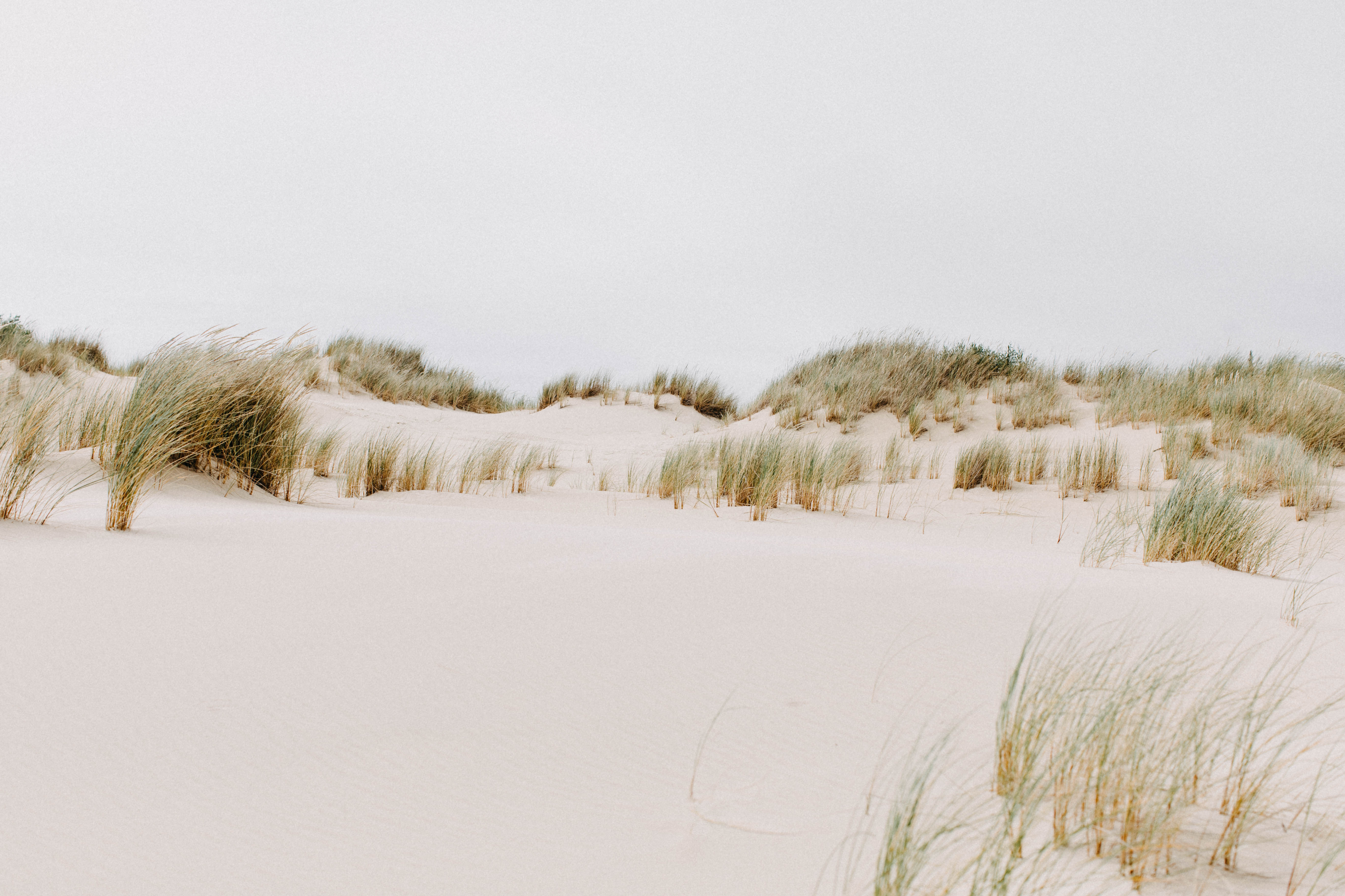 Henty Dunes II Photographic Print - Emily O'Brien