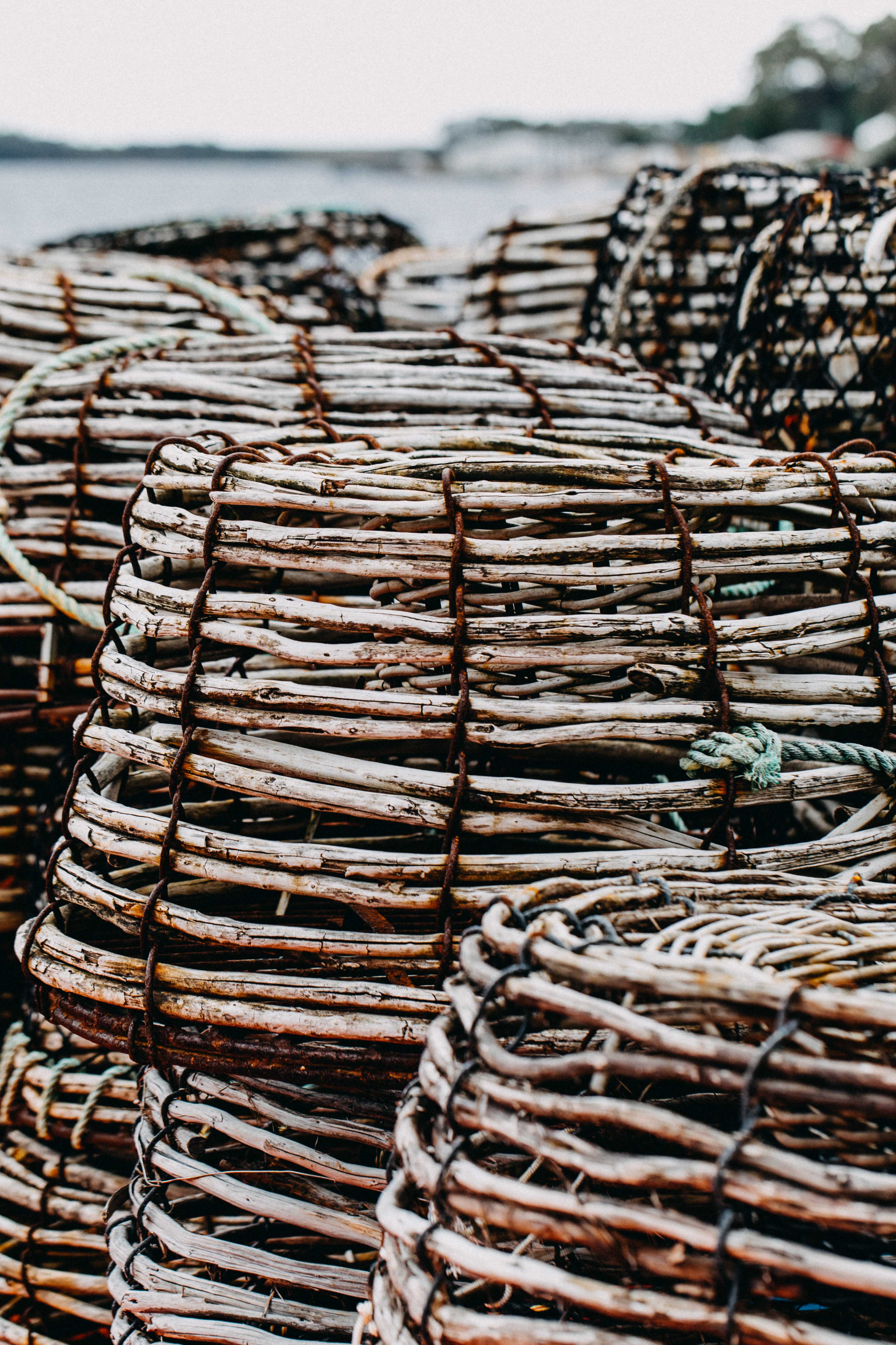 Crayfish Pots I Photographic Print