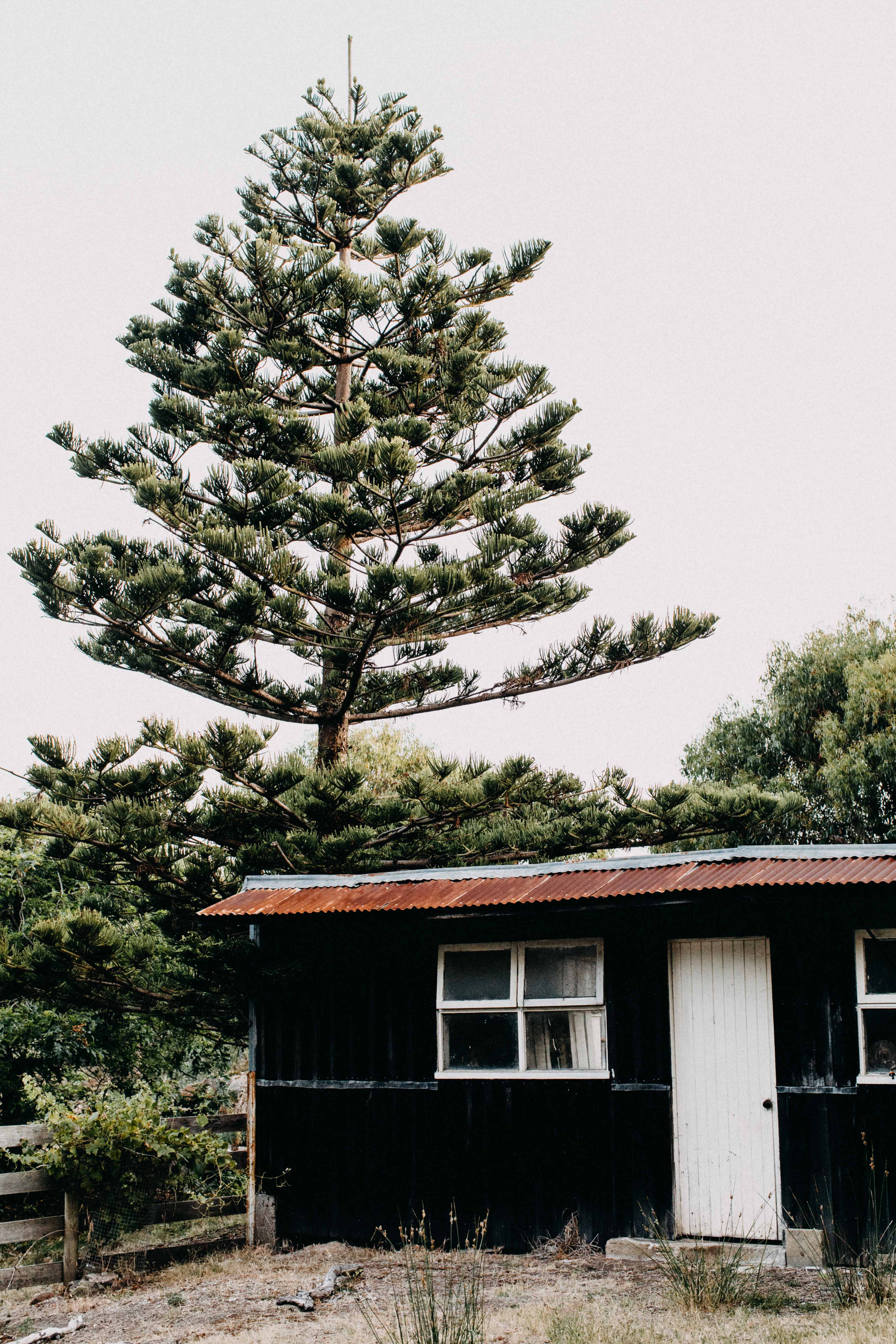 Hawley Beach Shack Photographic Print - Emily O'Brien