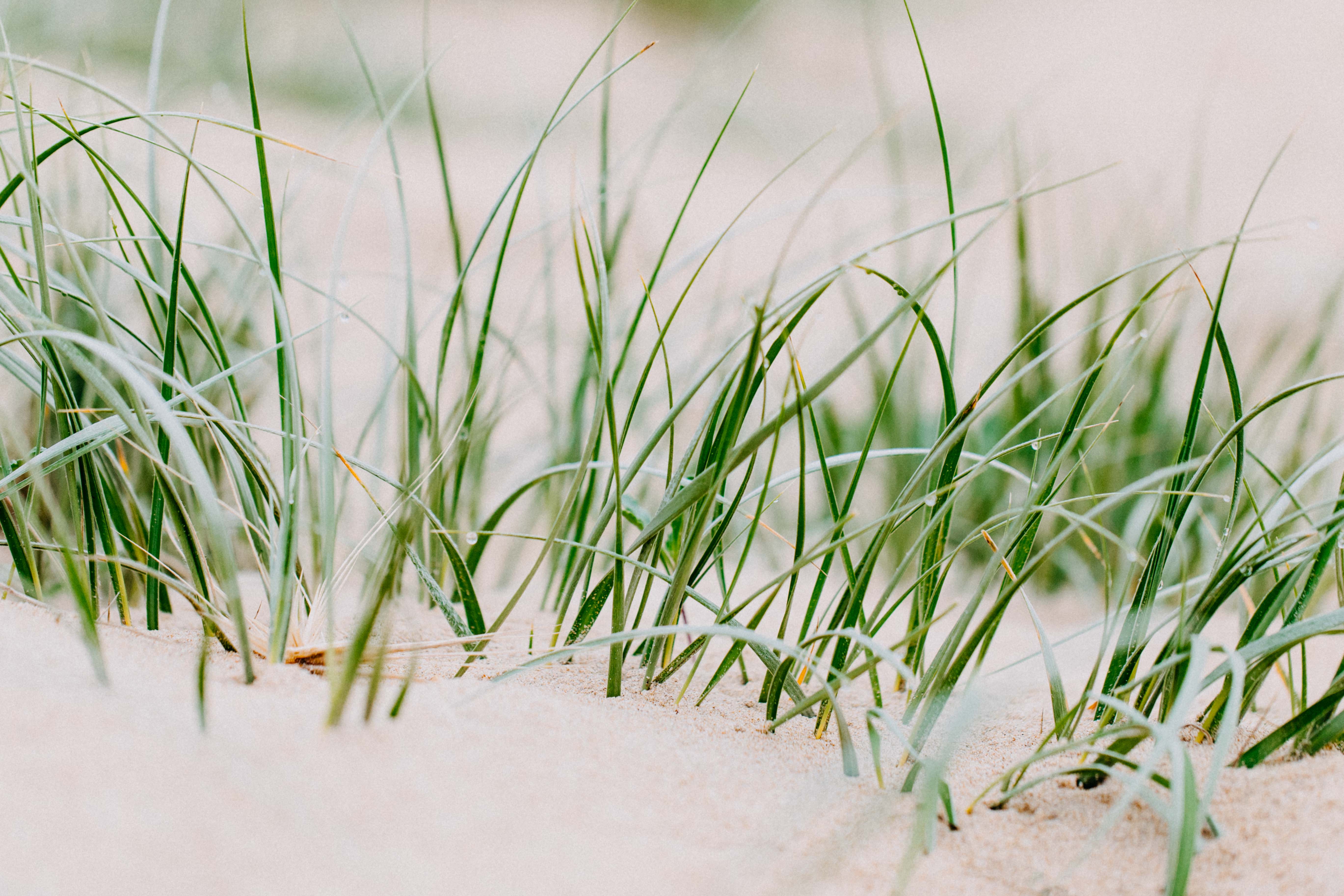 Moruya Beach III Photographic Print - Emily O'Brien