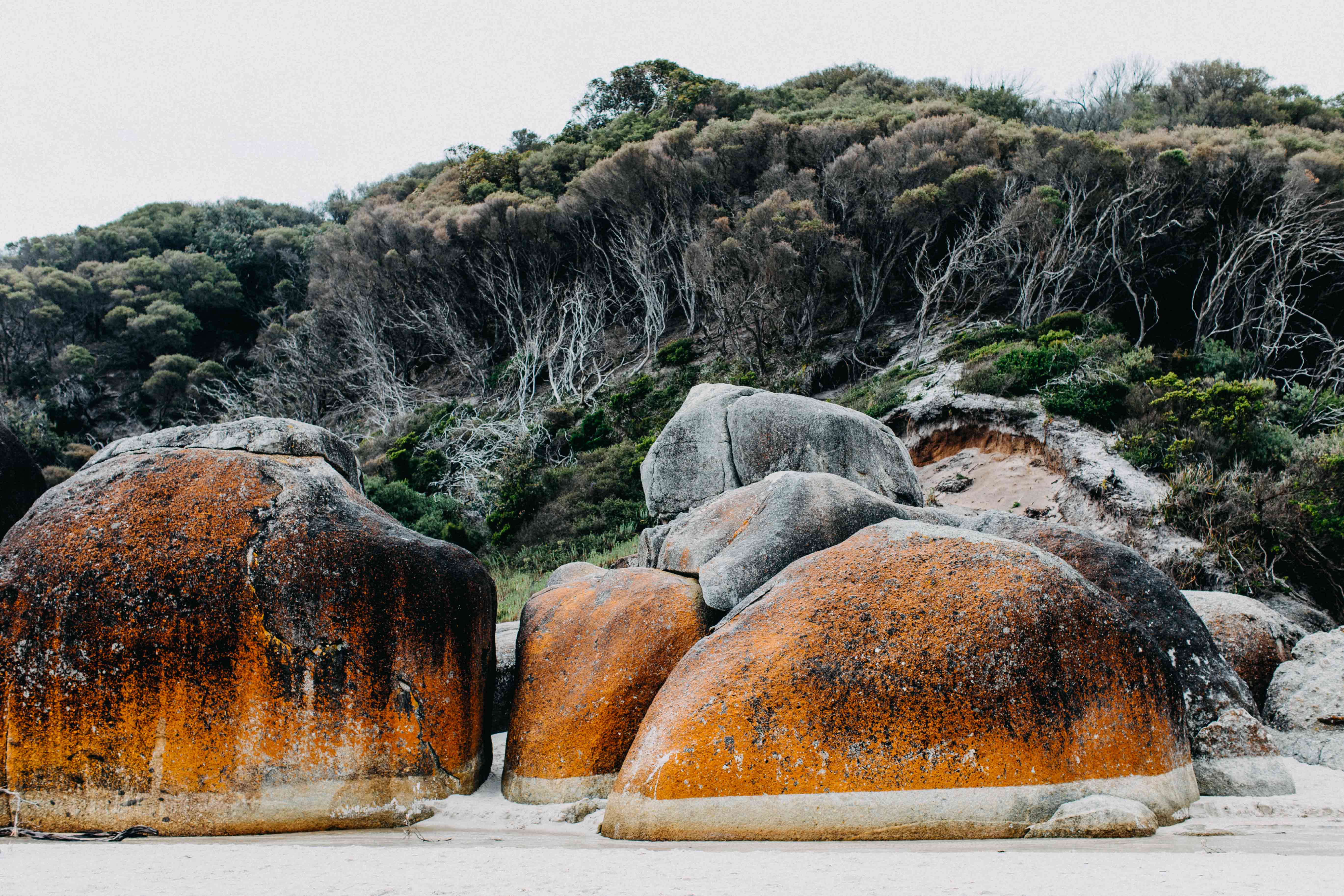 Wilsons Promontory Squeaky Beach II Photographic Print