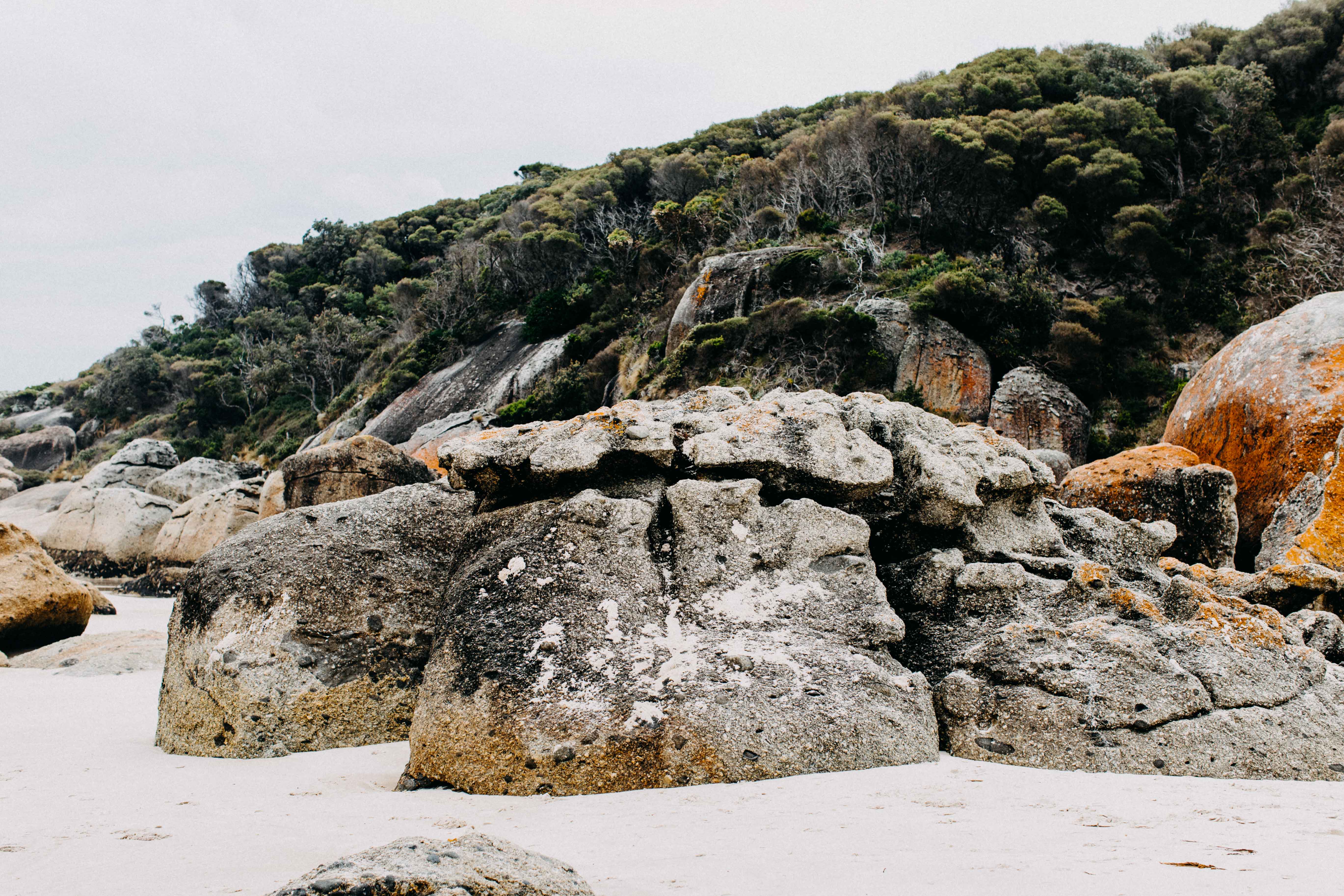 Wilsons Promontory Squeaky Beach VI Photographic Print