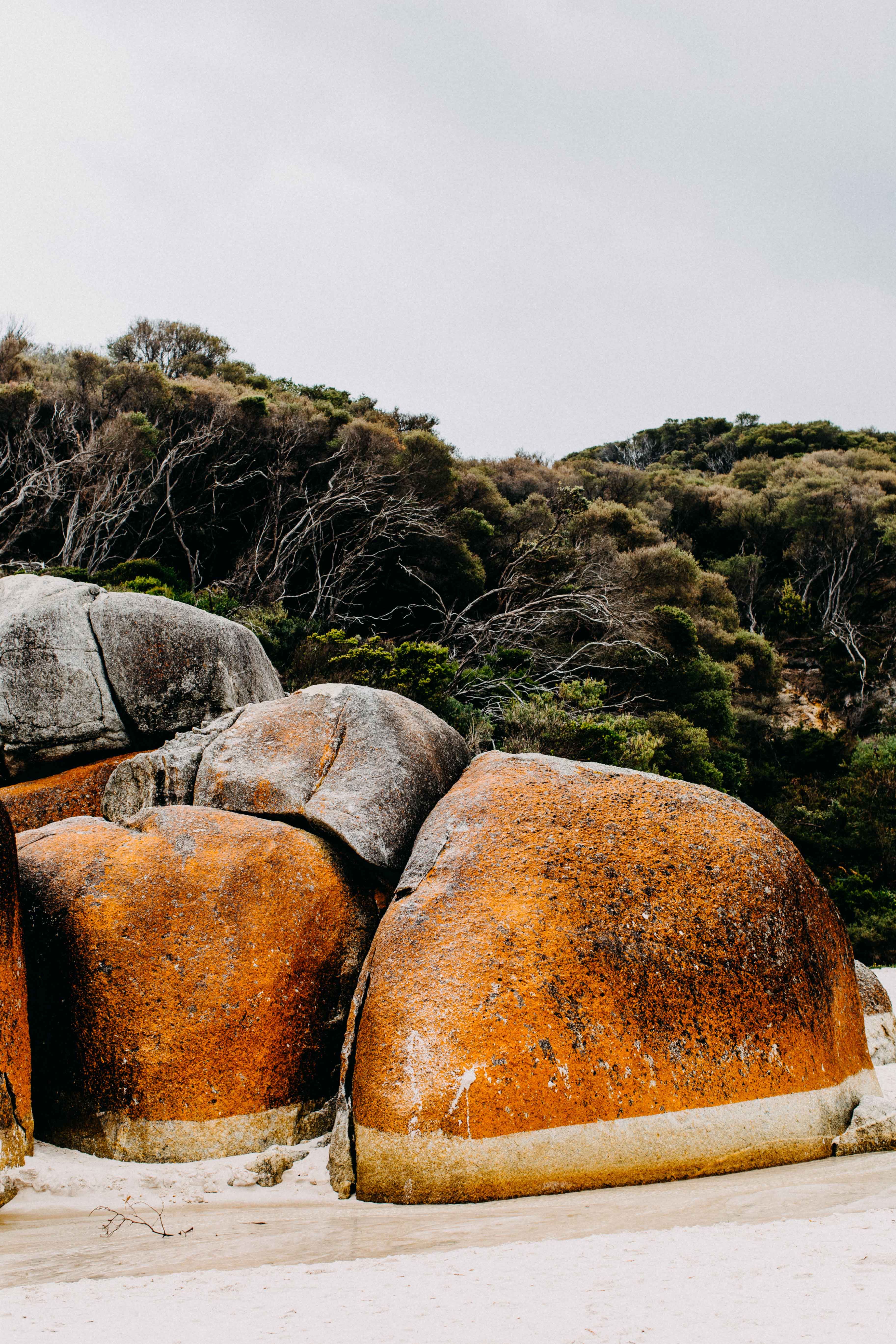 Wilsons Promontory Squeaky Beach VII Photographic Print