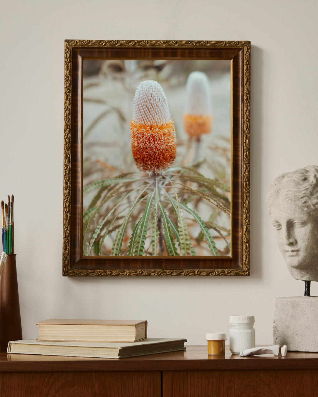 Australian Banksia Prionotes II Photographic Print