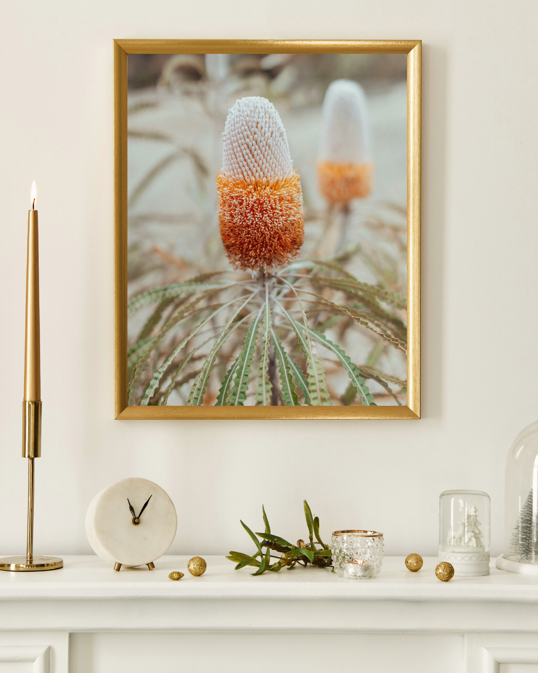 Australian Banksia Prionotes II Photographic Print