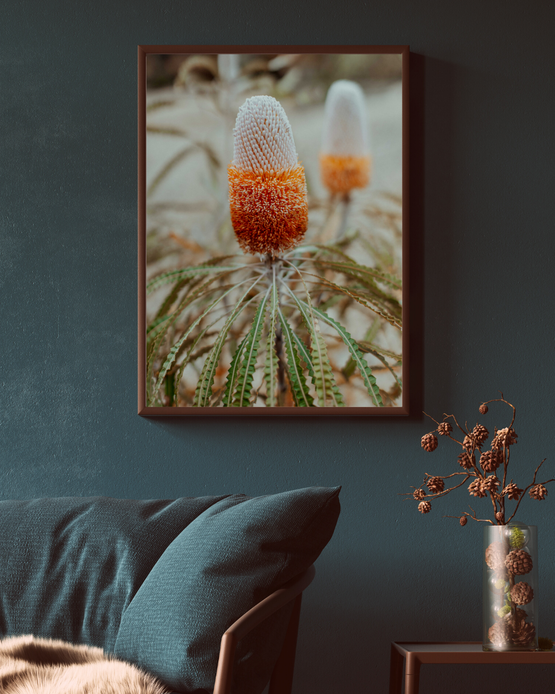 Australian Banksia Prionotes II Photographic Print
