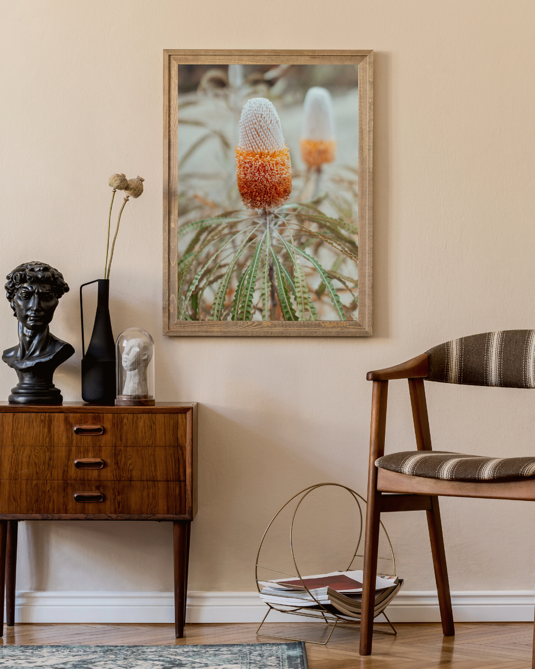Australian Banksia Prionotes II Photographic Print