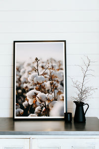 Australian Cotton Photographic Print - Emily O'Brien