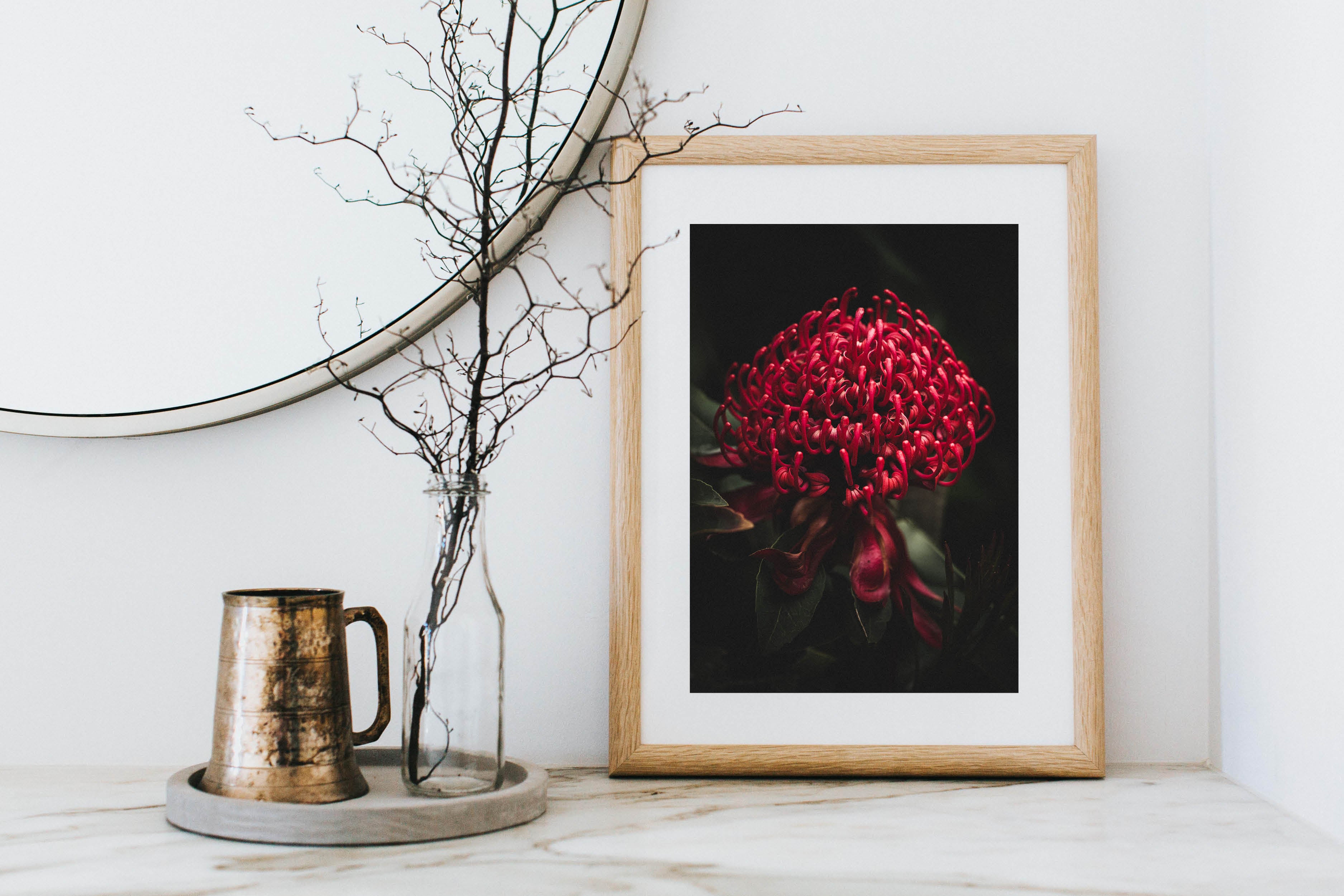 Australian Waratah Photographic Print - Emily O'Brien