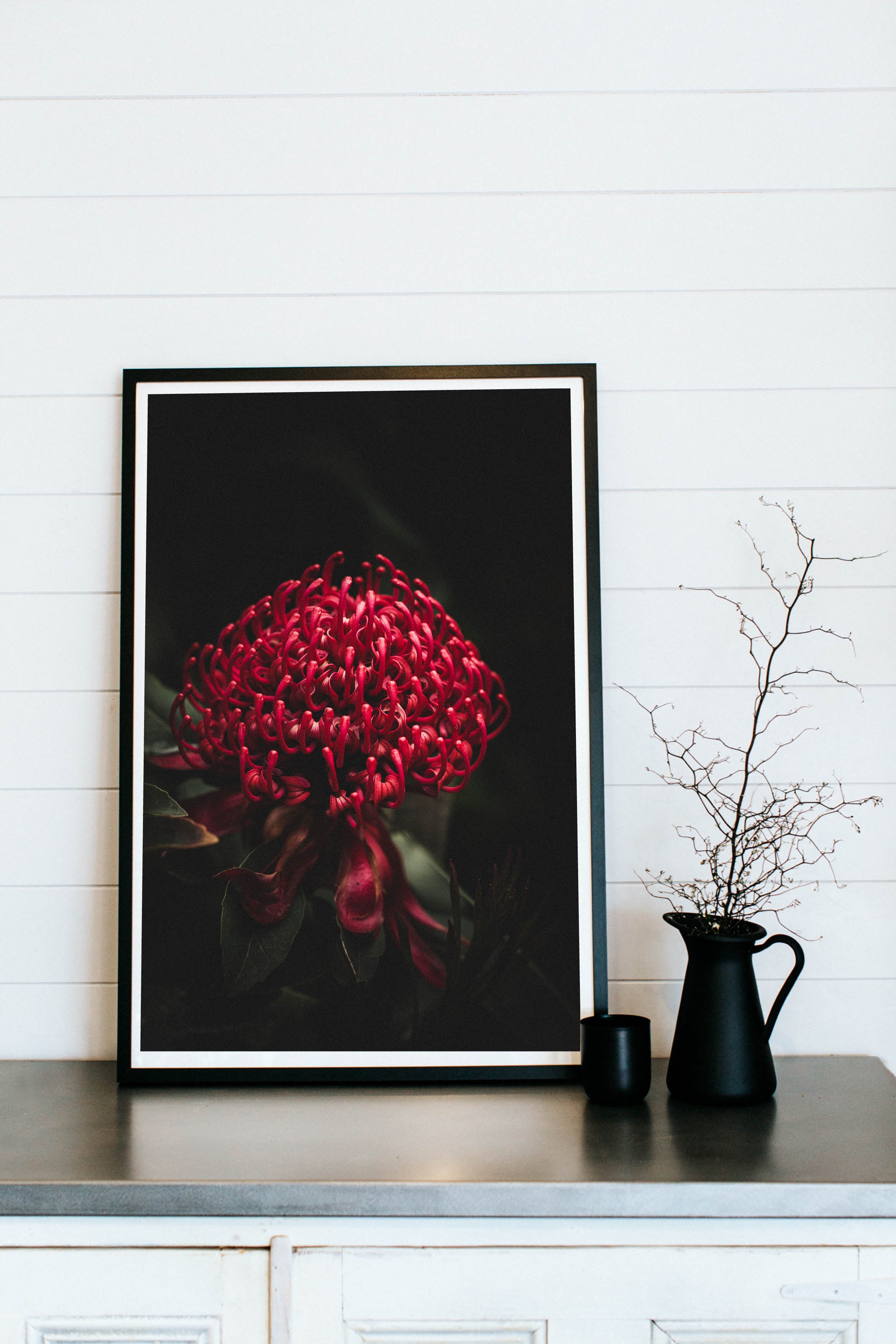 Australian Waratah Photographic Print - Emily O'Brien