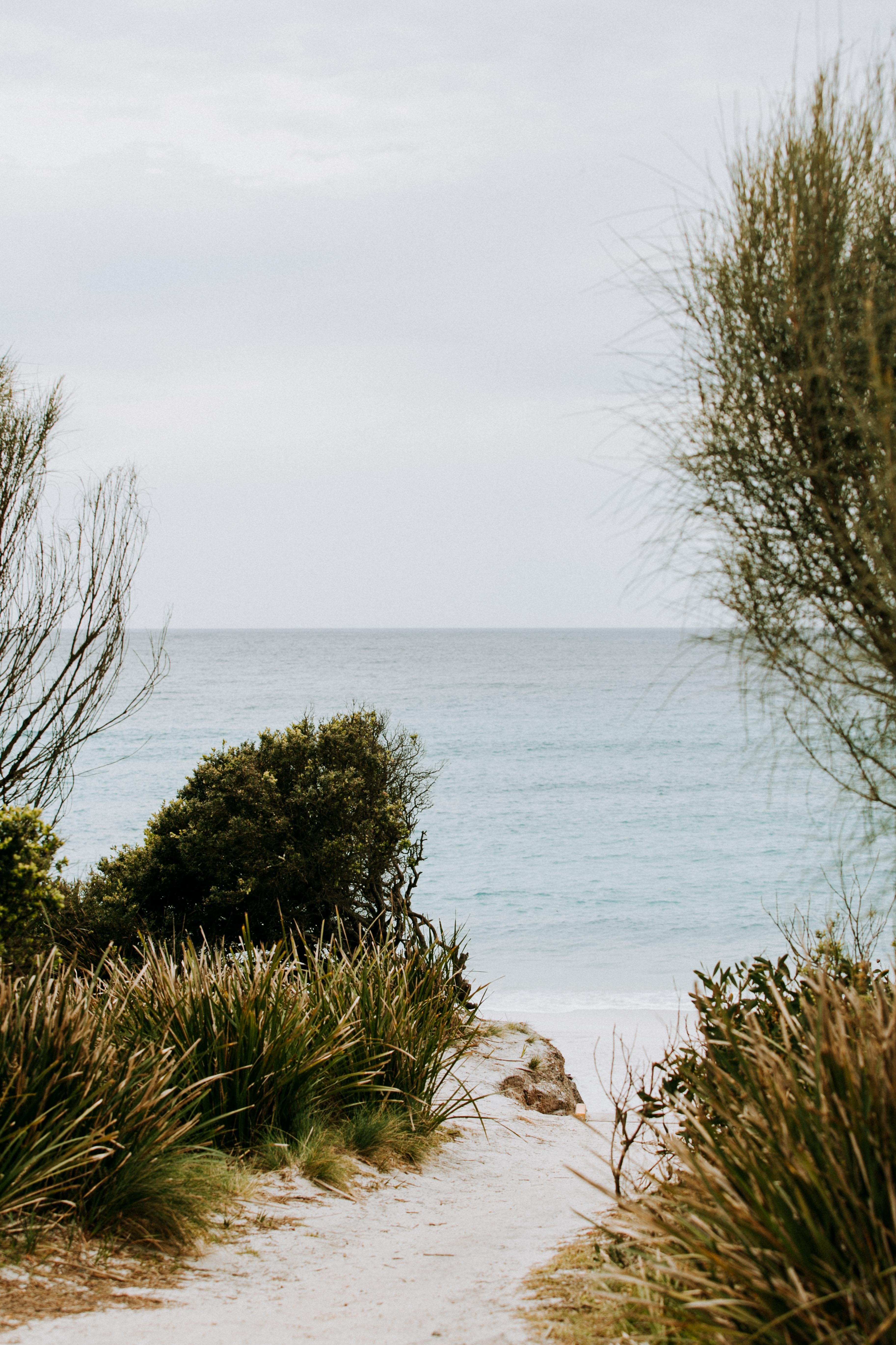 Bay of Fires Beach Lane Photographic Print - Emily O'Brien