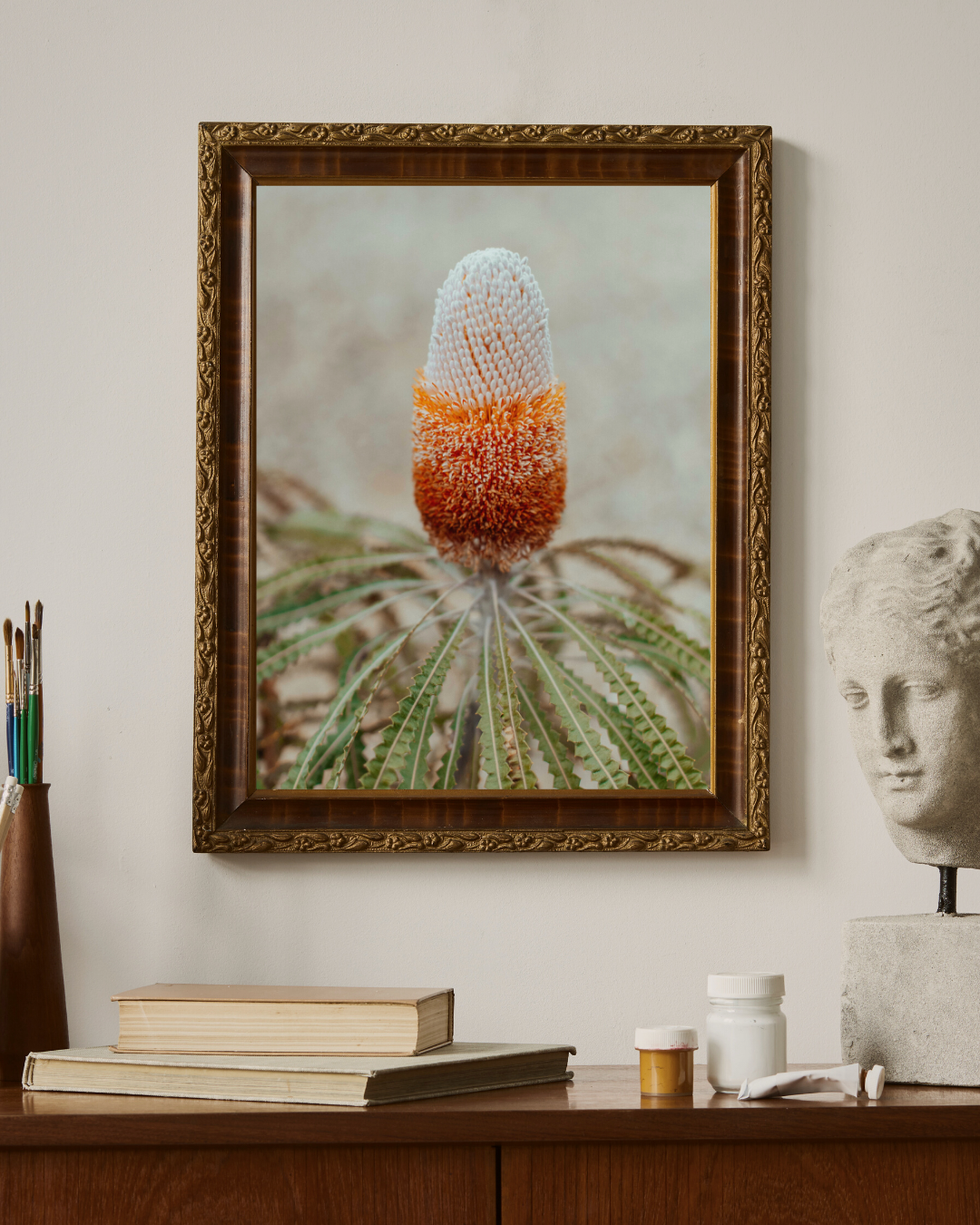 Australian Banksia Prionotes I Photographic Print