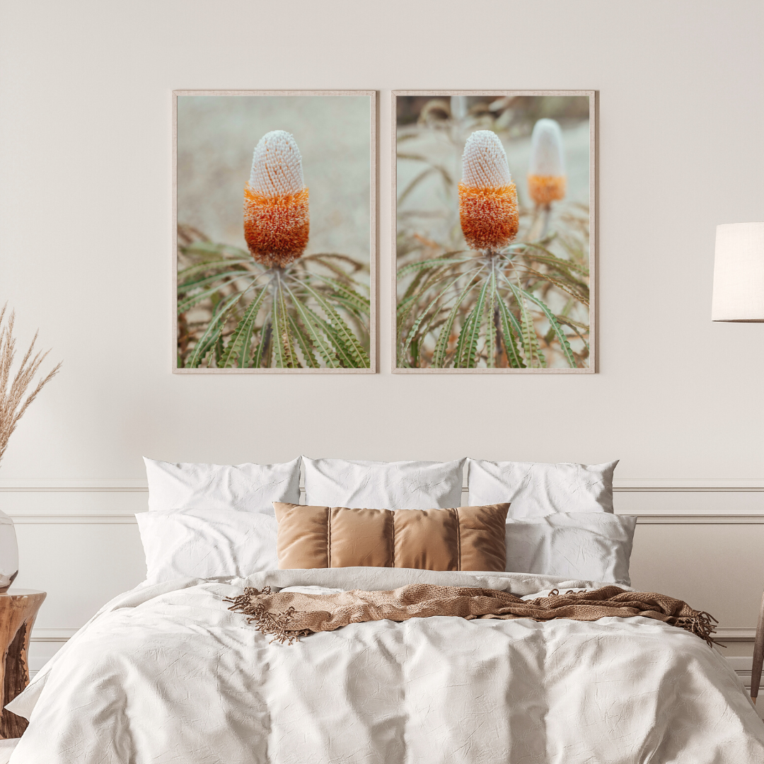 Australian Banksia Prionotes I Photographic Print