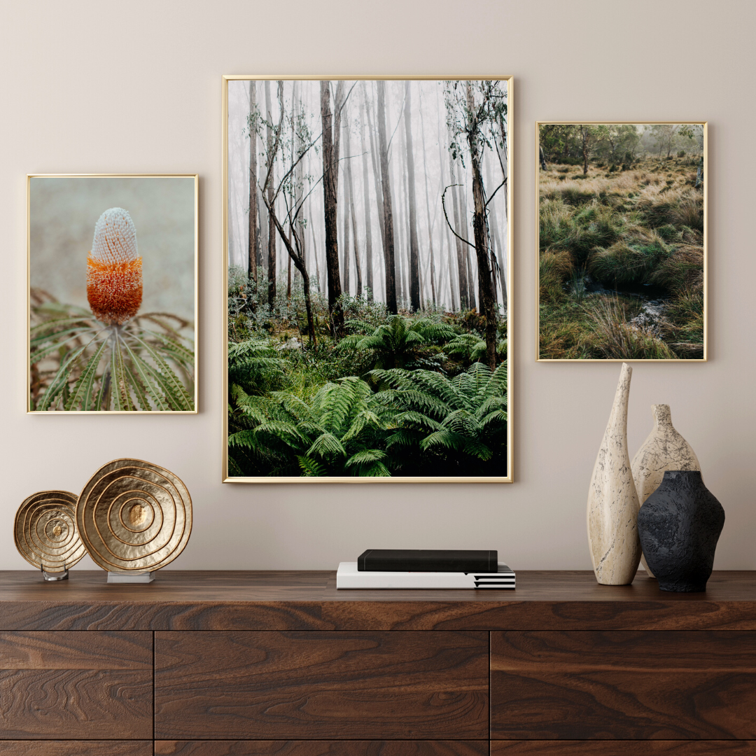 Australian Banksia Prionotes I Photographic Print
