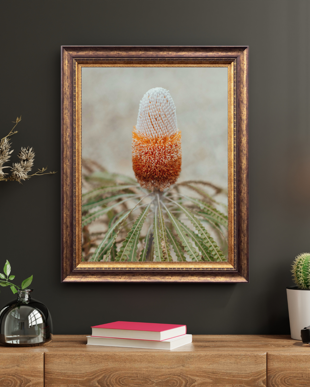 Australian Banksia Prionotes I Photographic Print