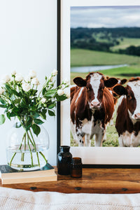 Betty and Beatrice Cow Photographic Print - Emily O'Brien