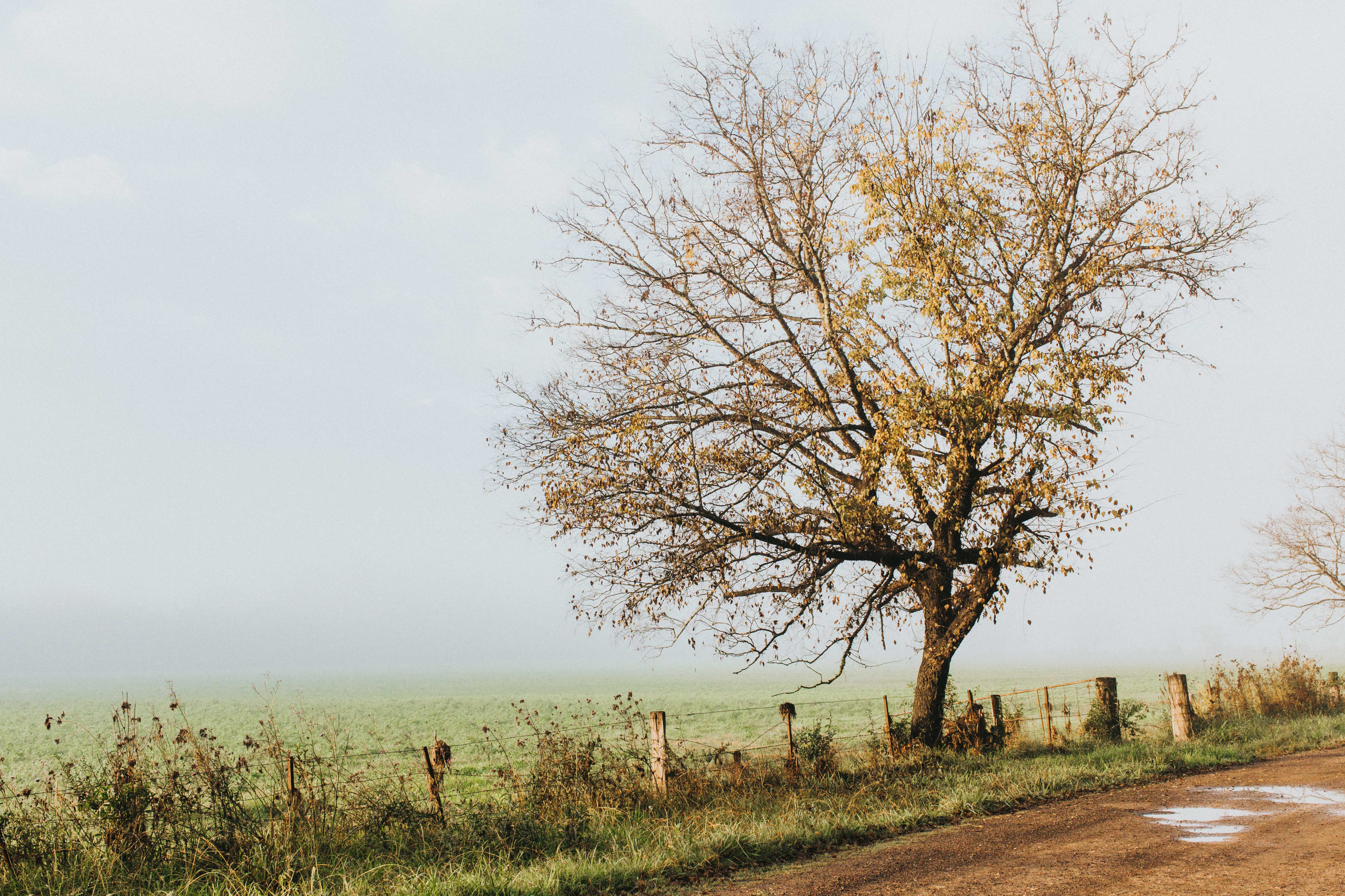 Brownlow Hill IV Photographic Print - Emily O'Brien