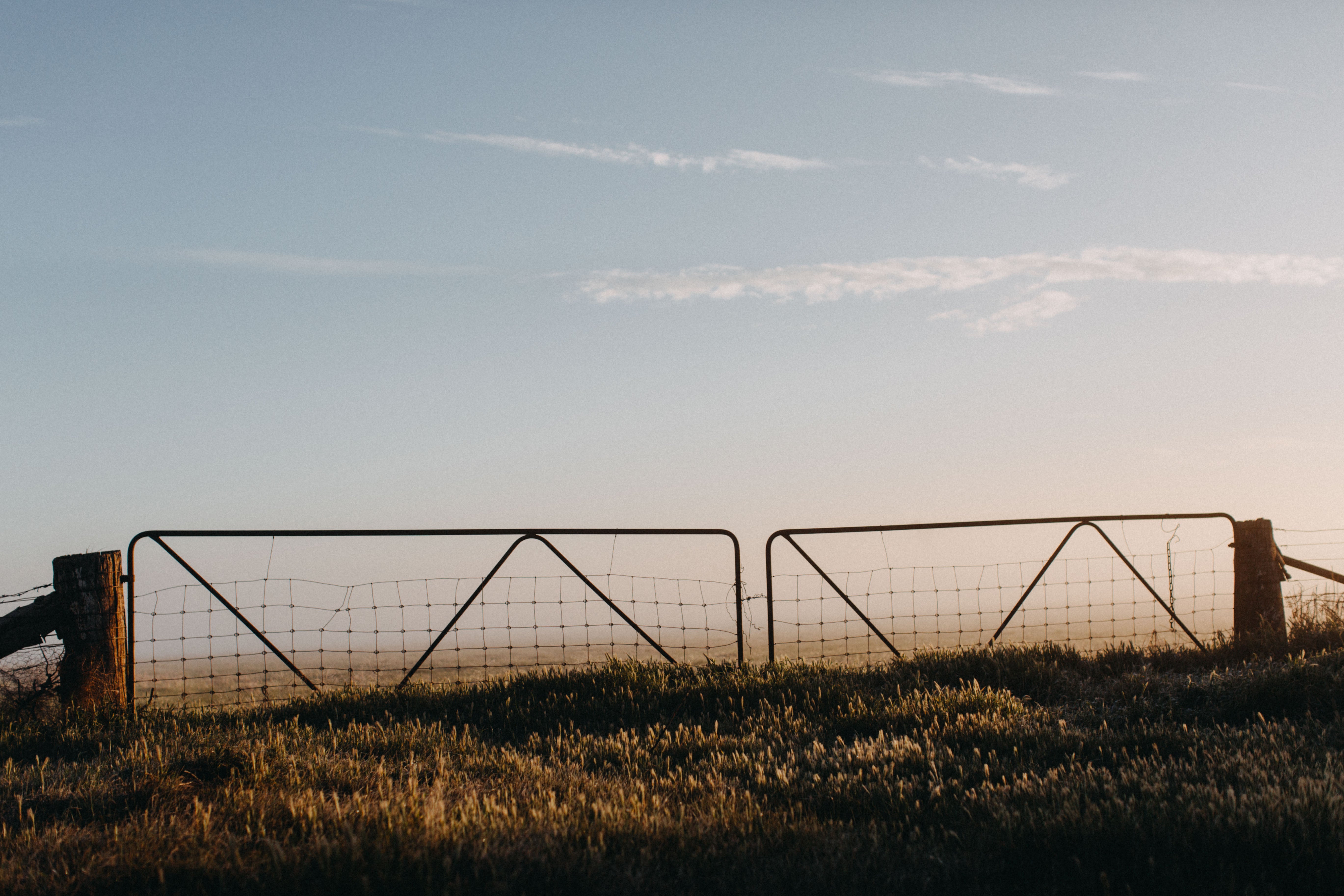 Brushwood Farm III Photographic Print - Emily O'Brien