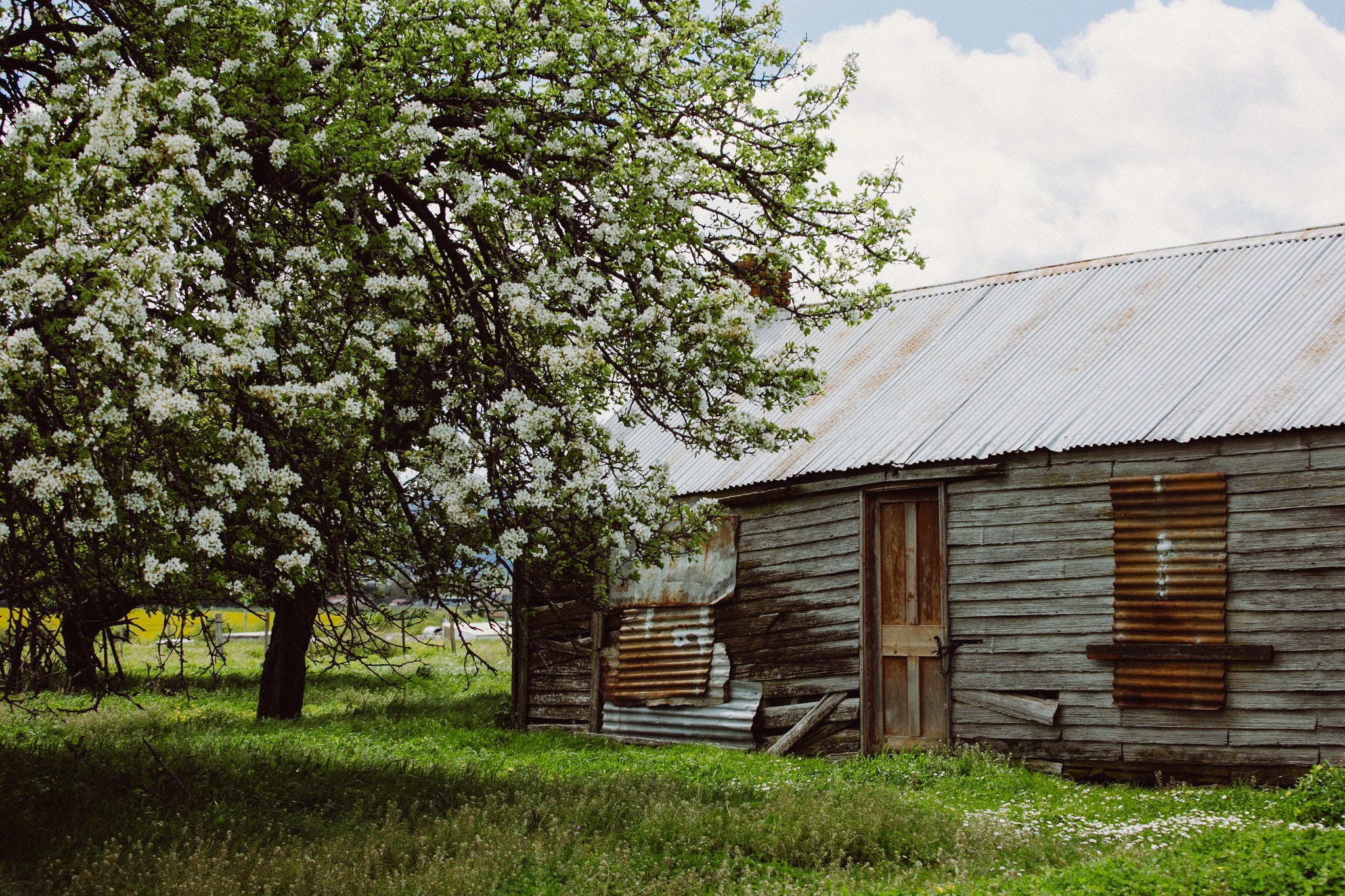 Blossom Barn Colour Photographic Print - Emily O'Brien