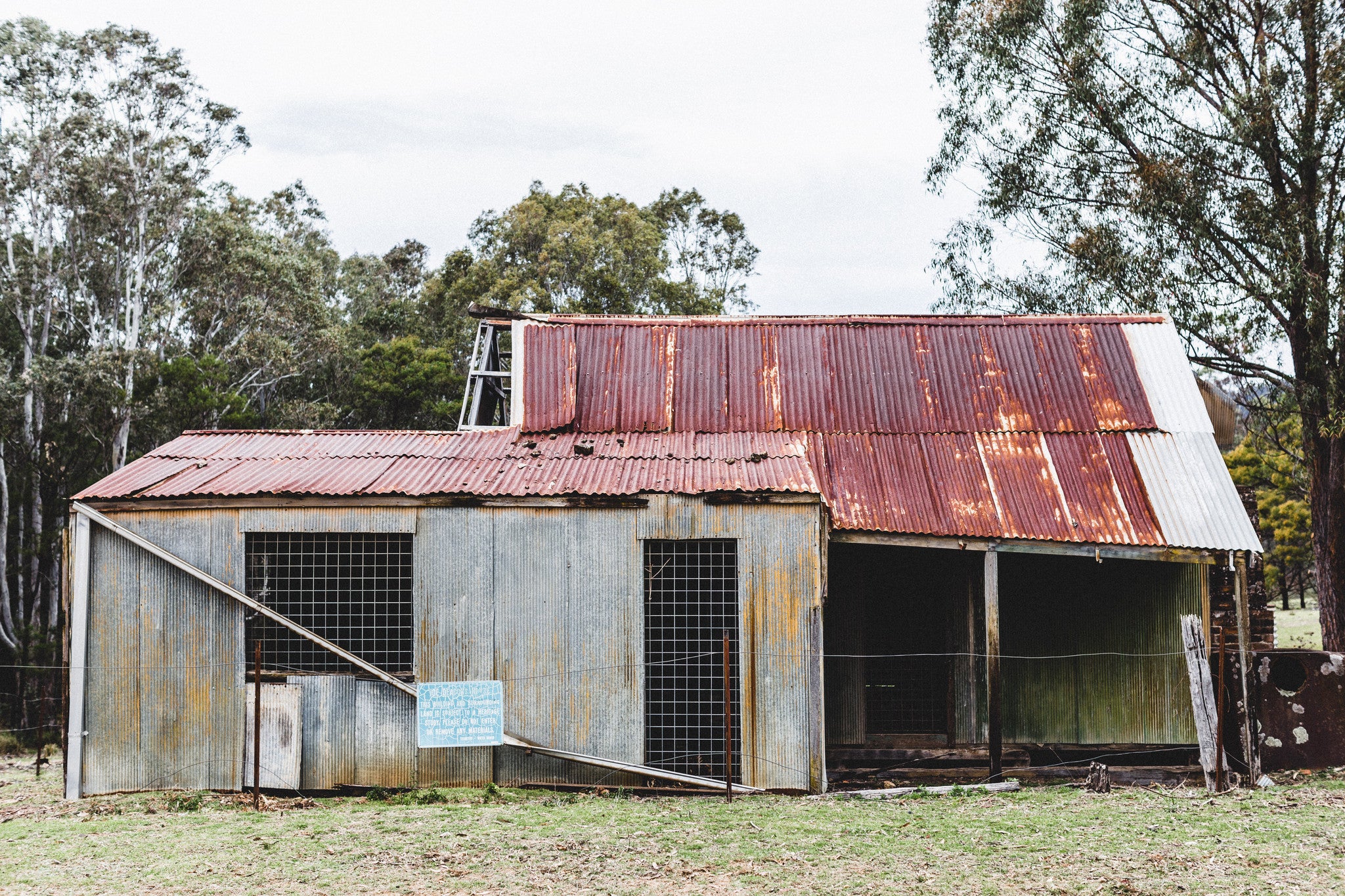 Yerranderie Shed Photographic Print - Emily O'Brien