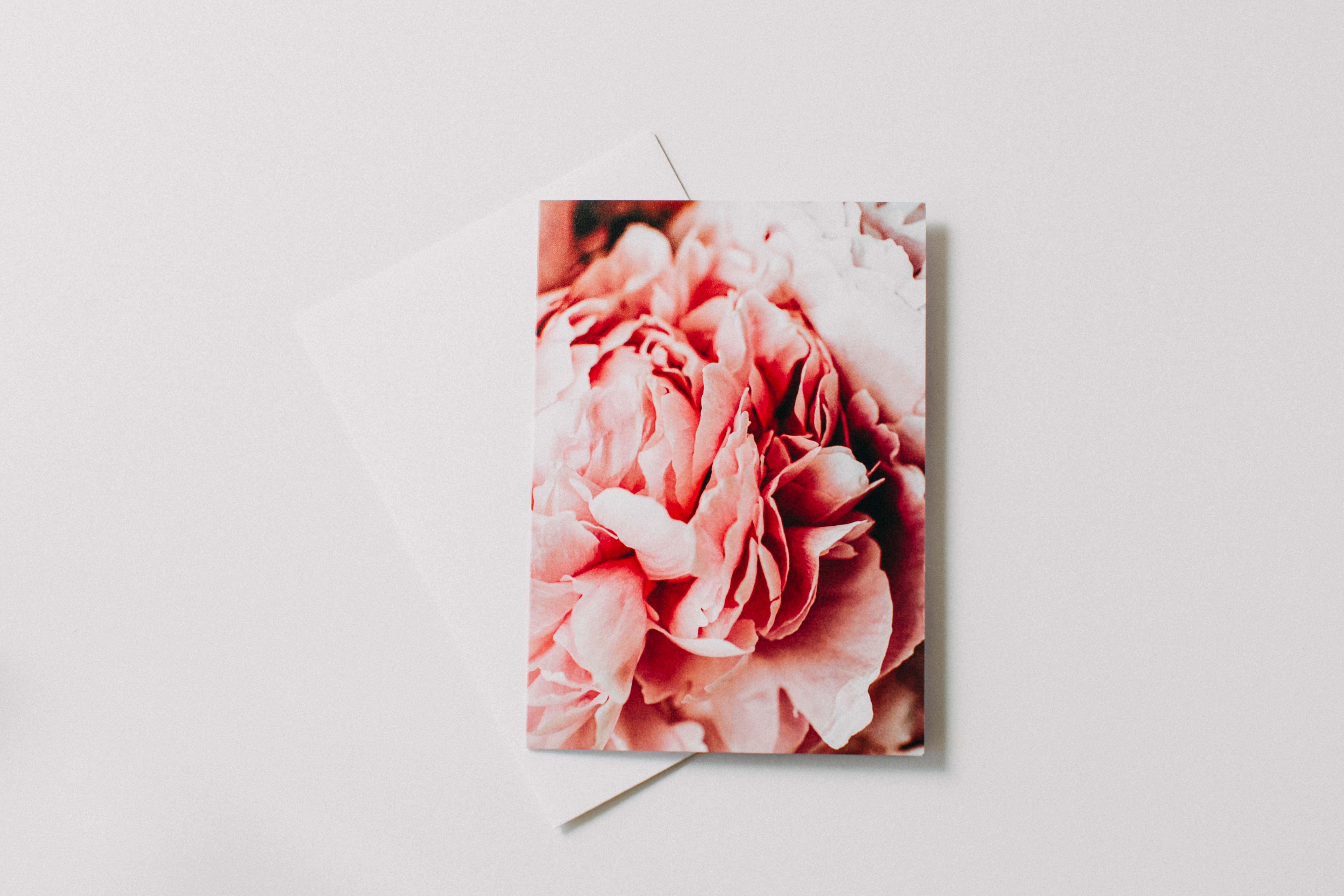 Peony Cluster II Greeting Card - Emily O'Brien