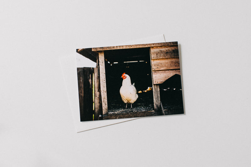 Into the Hen House Greeting Card - Emily O'Brien