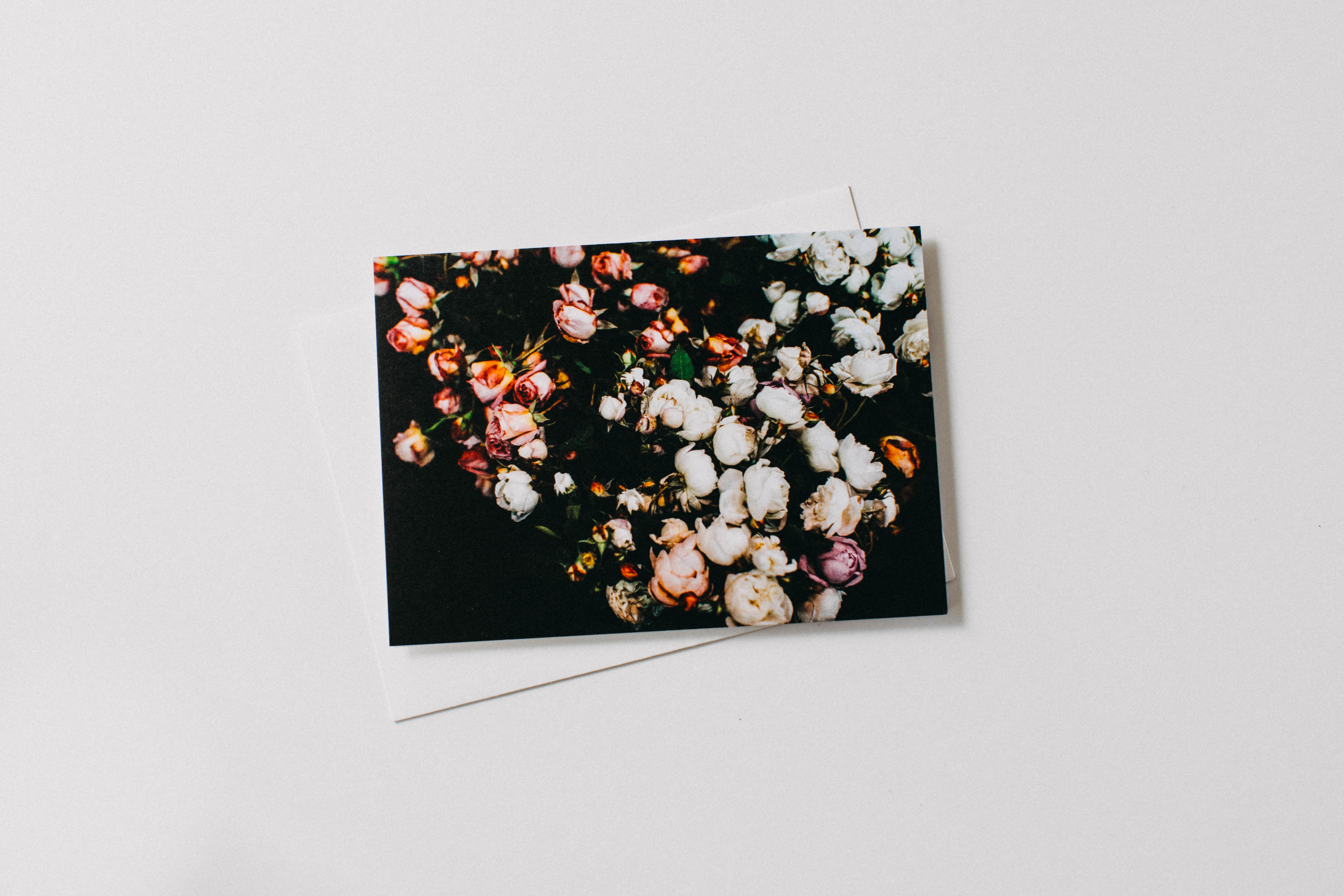 David Austin Roses Greeting Card - Emily O'Brien