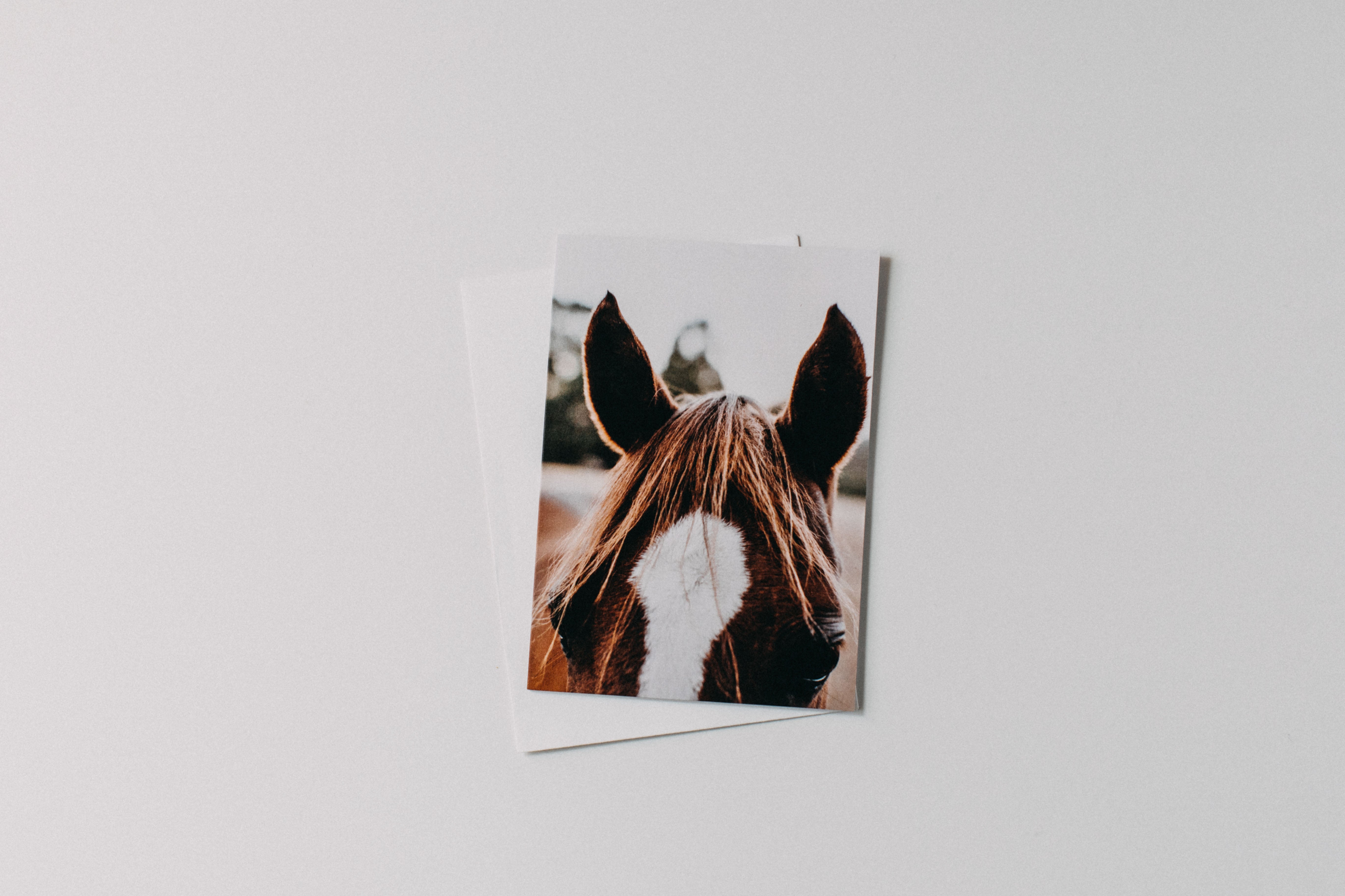 Benny the Brown Horse Greeting Card - Emily O'Brien