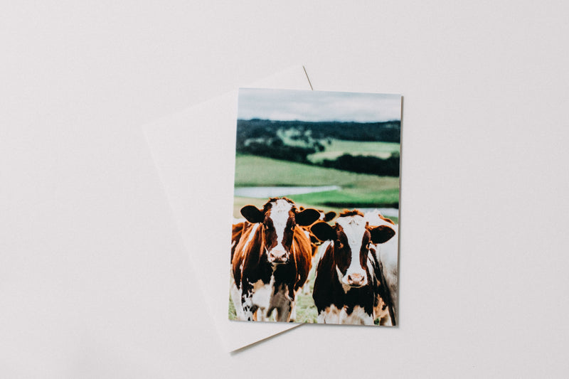 Betty + Beatrice Cow Greeting Card - Emily O'Brien