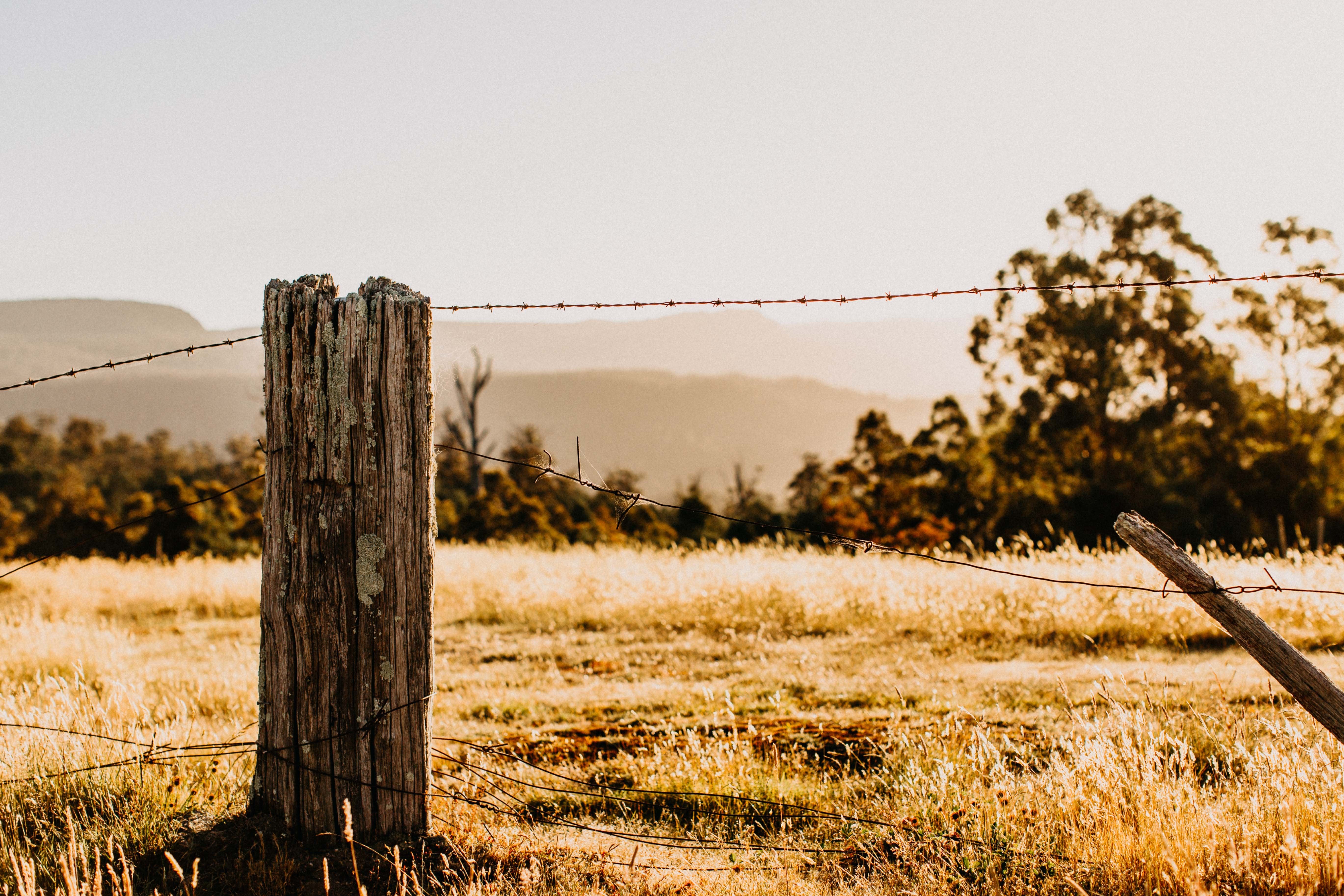 Golden Valley II Photographic Print