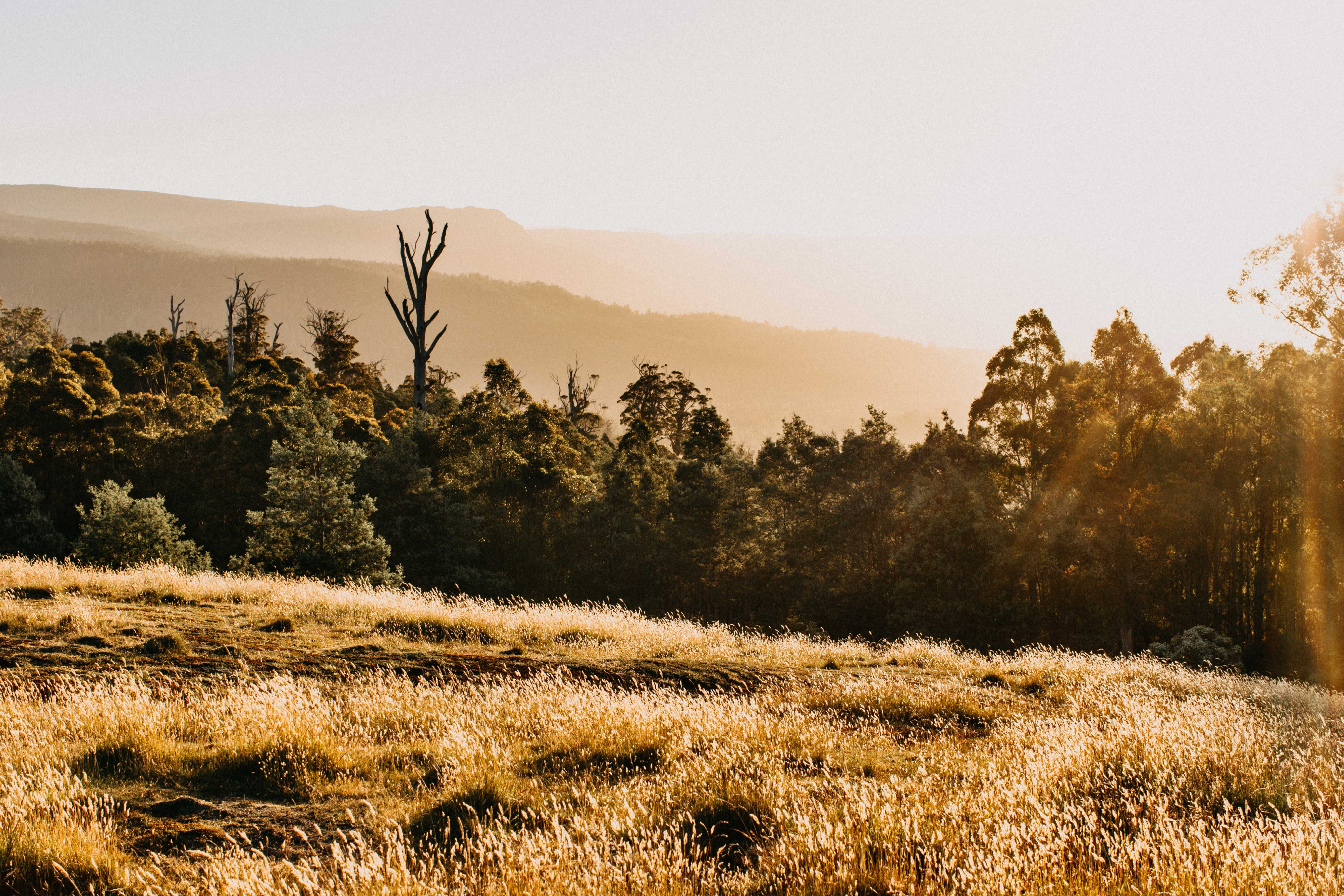 Golden Valley I Photographic Print