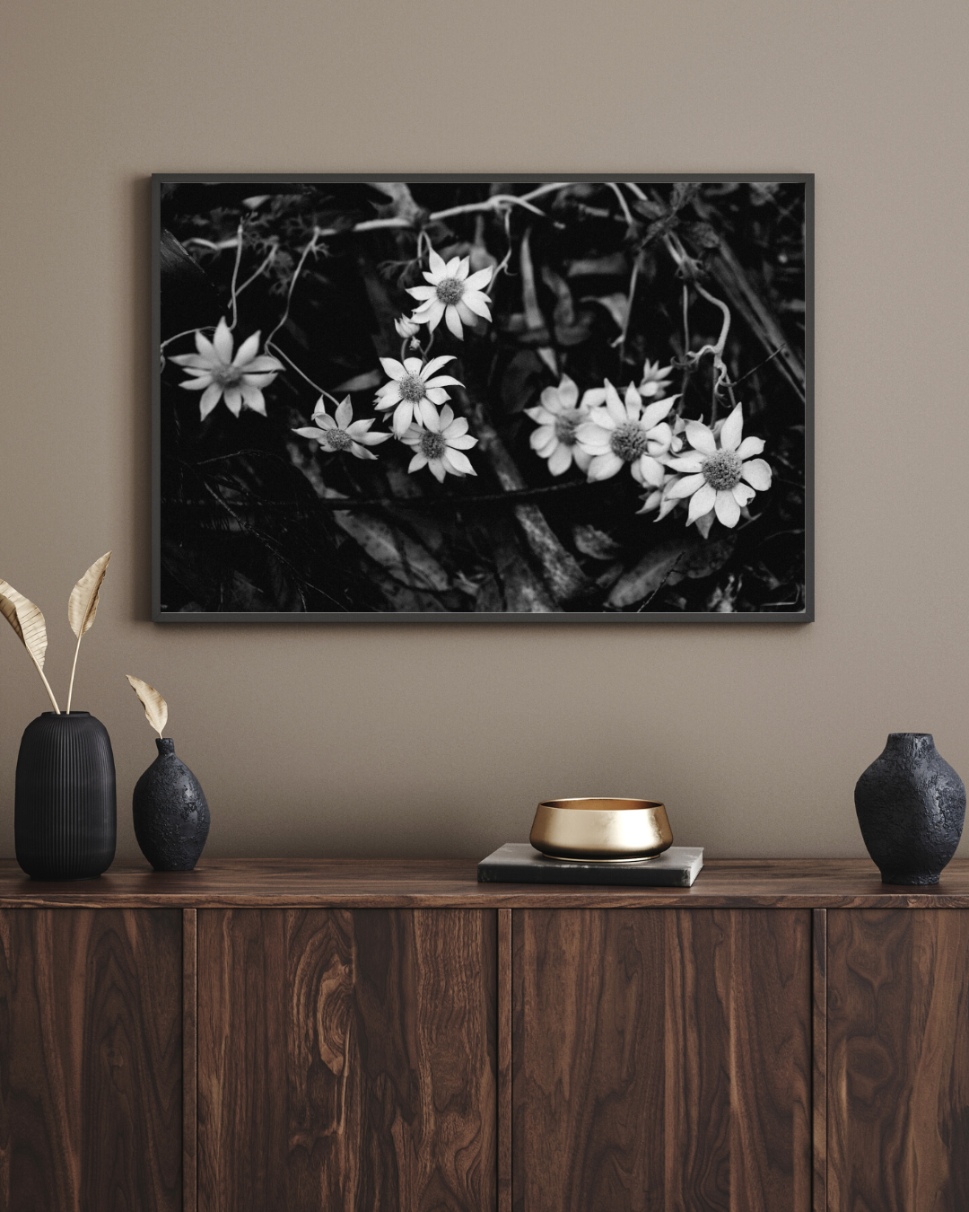 Australian Flannel Flower I B+W Photographic Print