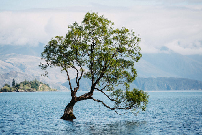 New Zealand Lake Wanaka Photographic Print