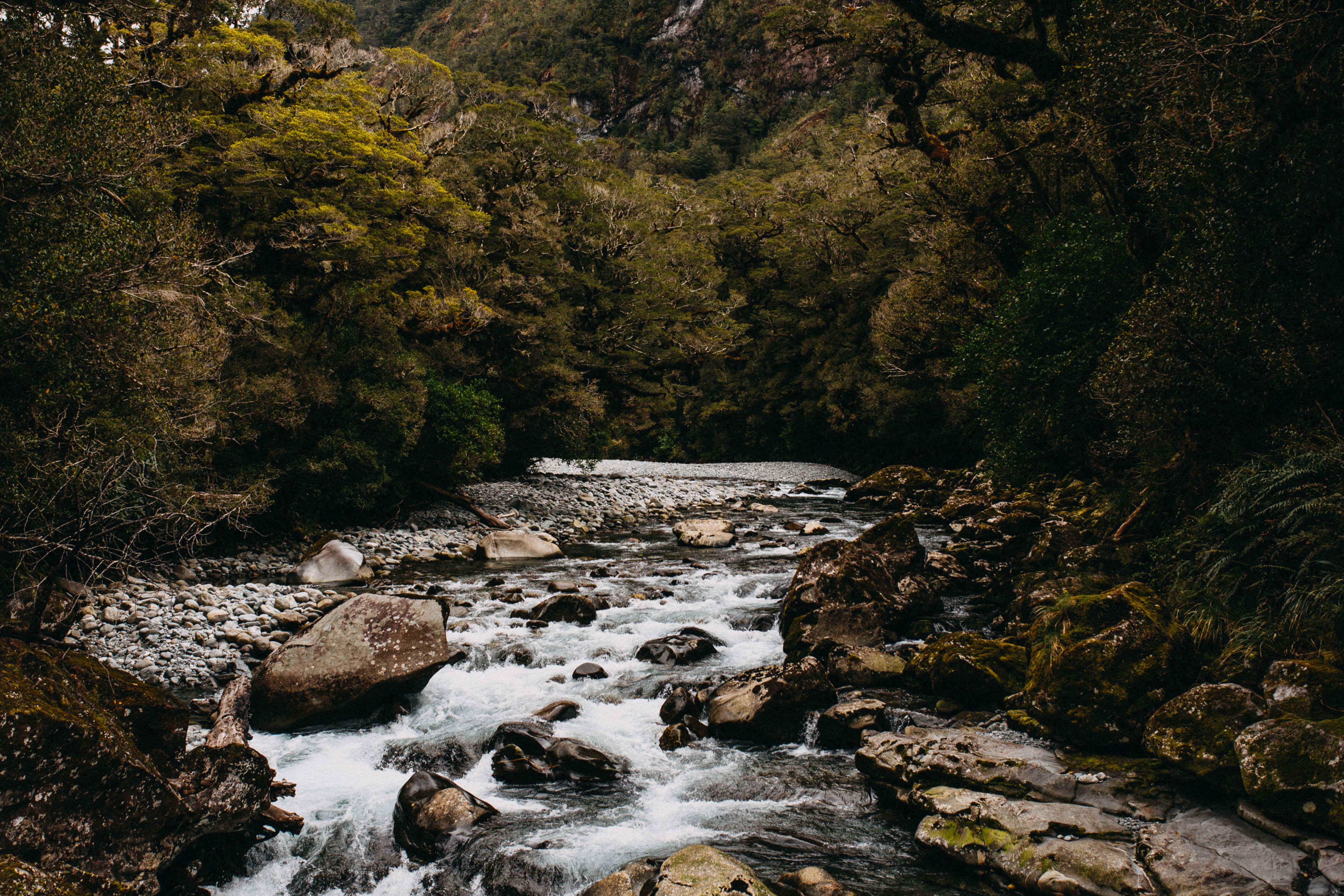 New Zealand Middle Earth Photographic Print - Emily O'Brien