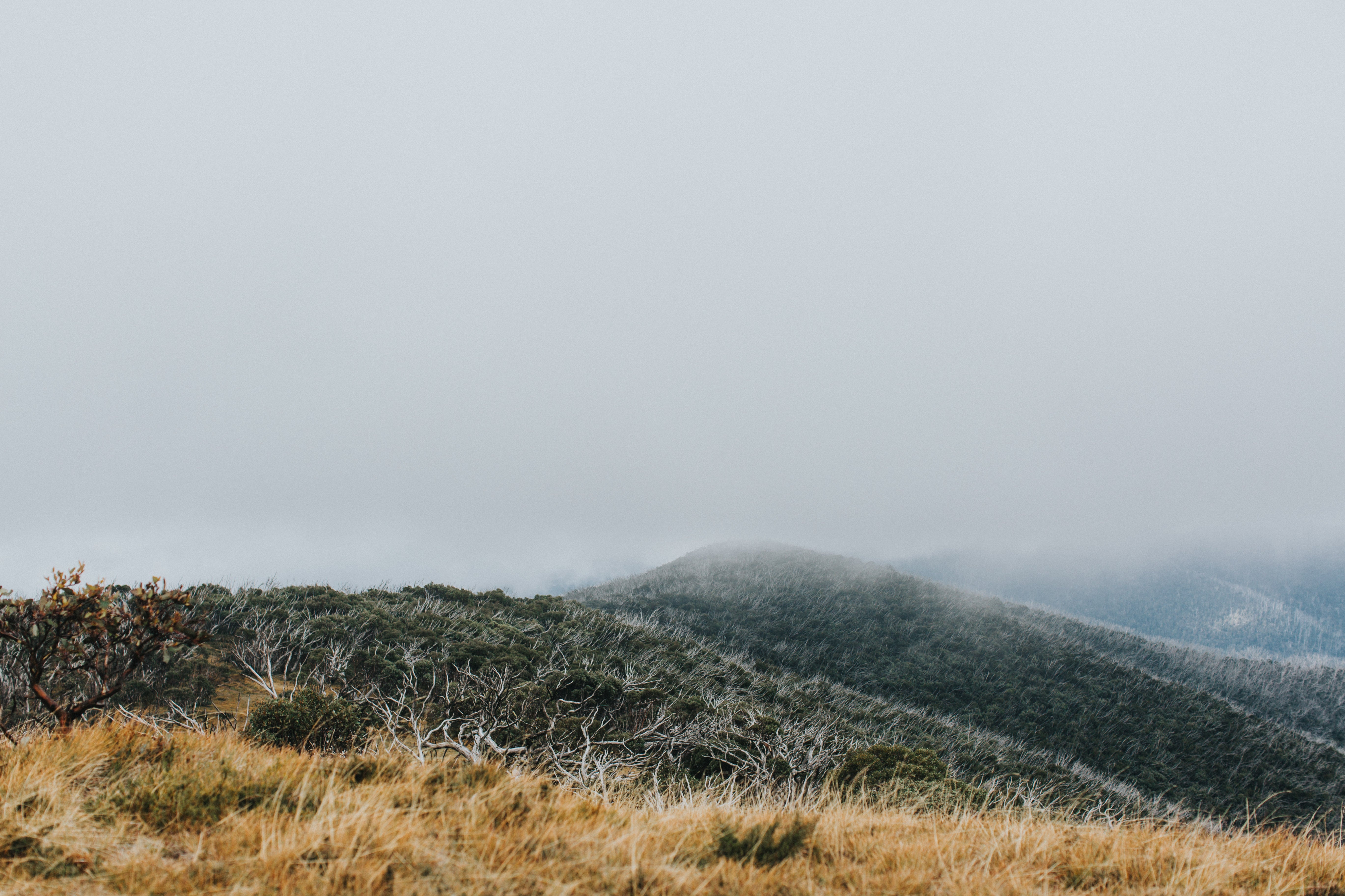 Highland Mount Murray III Photographic Print - Emily O'Brien