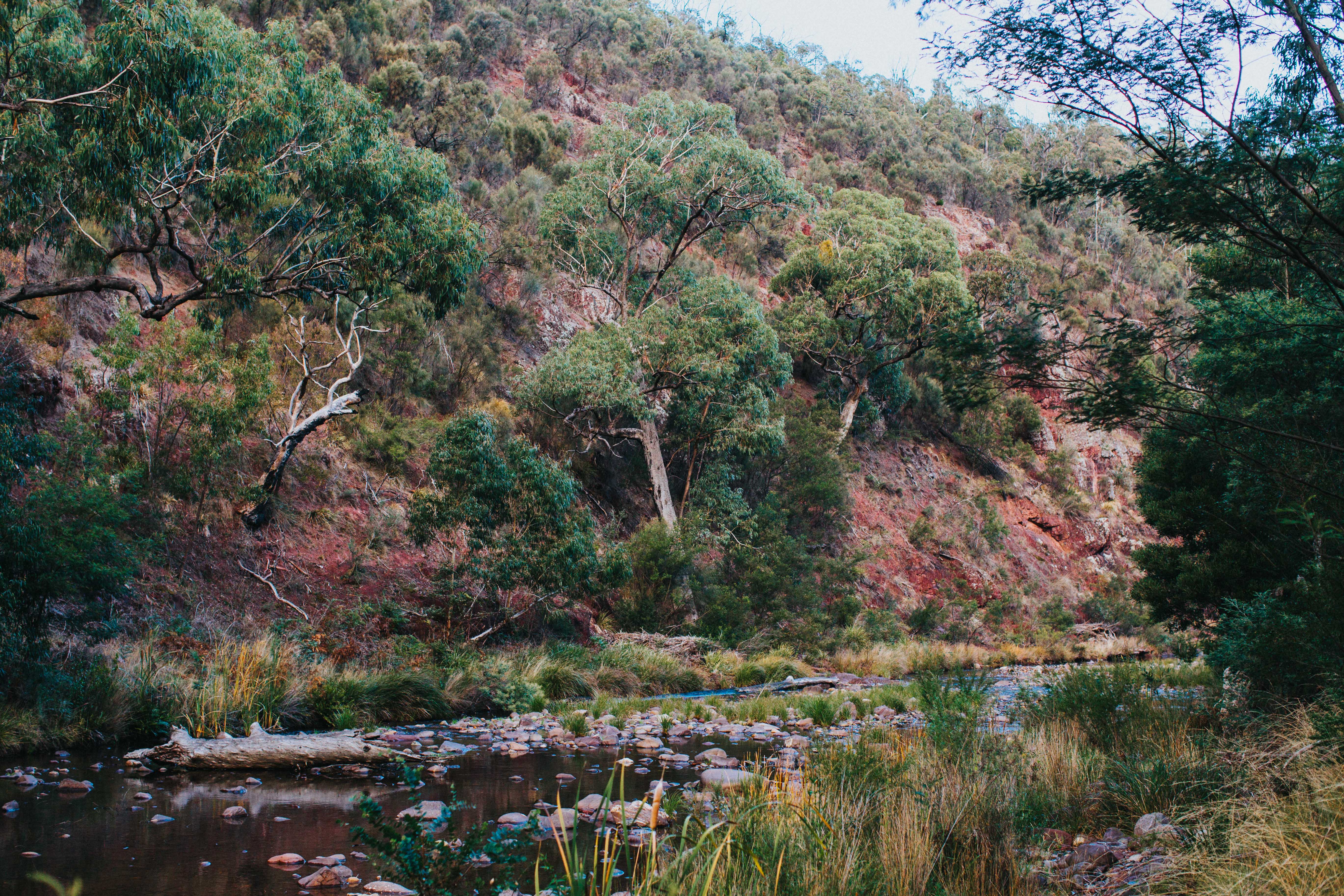Highland Riverbank III Photographic Print - Emily O'Brien