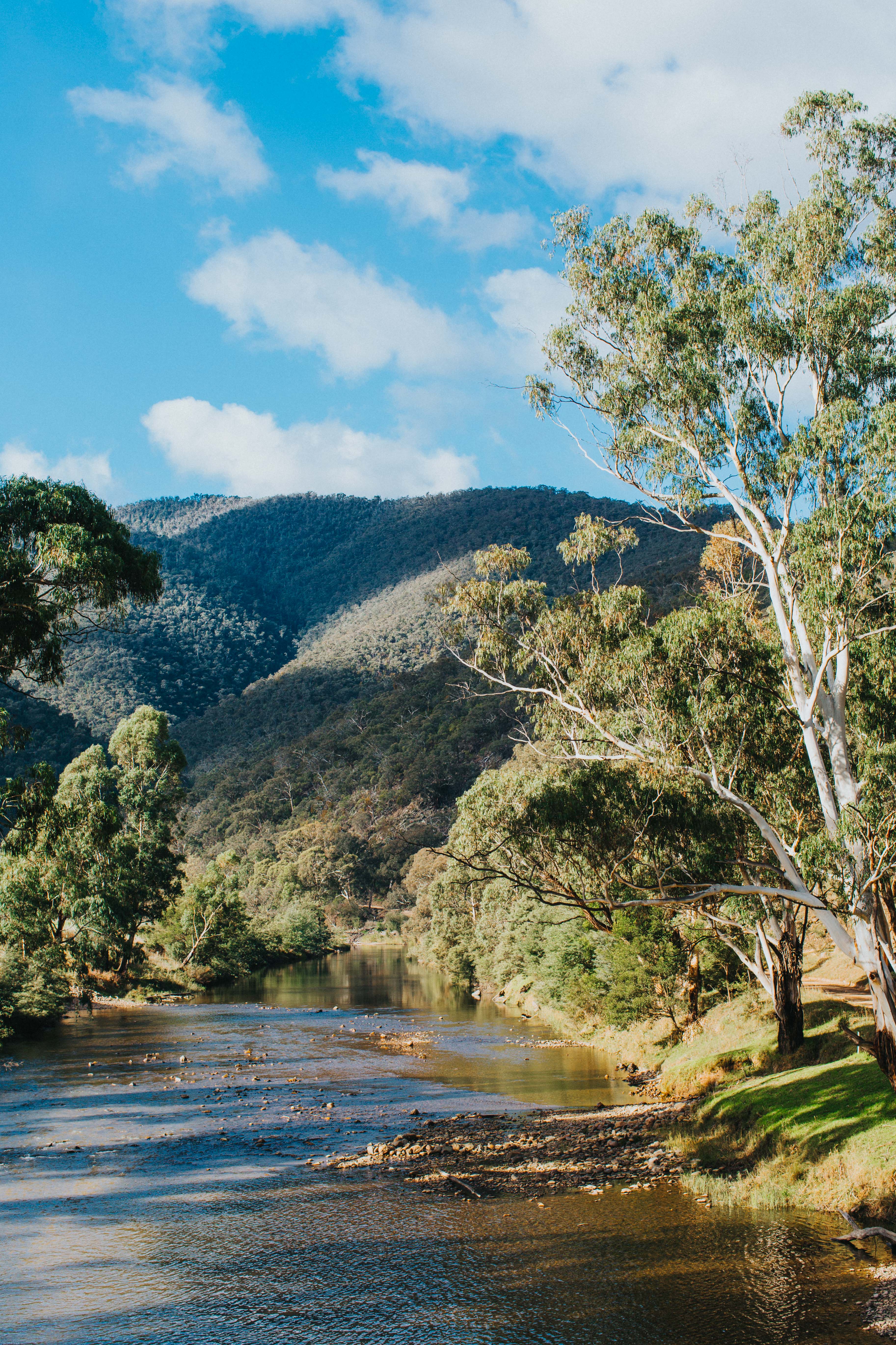 Highland Riverbank IV Photographic Print - Emily O'Brien