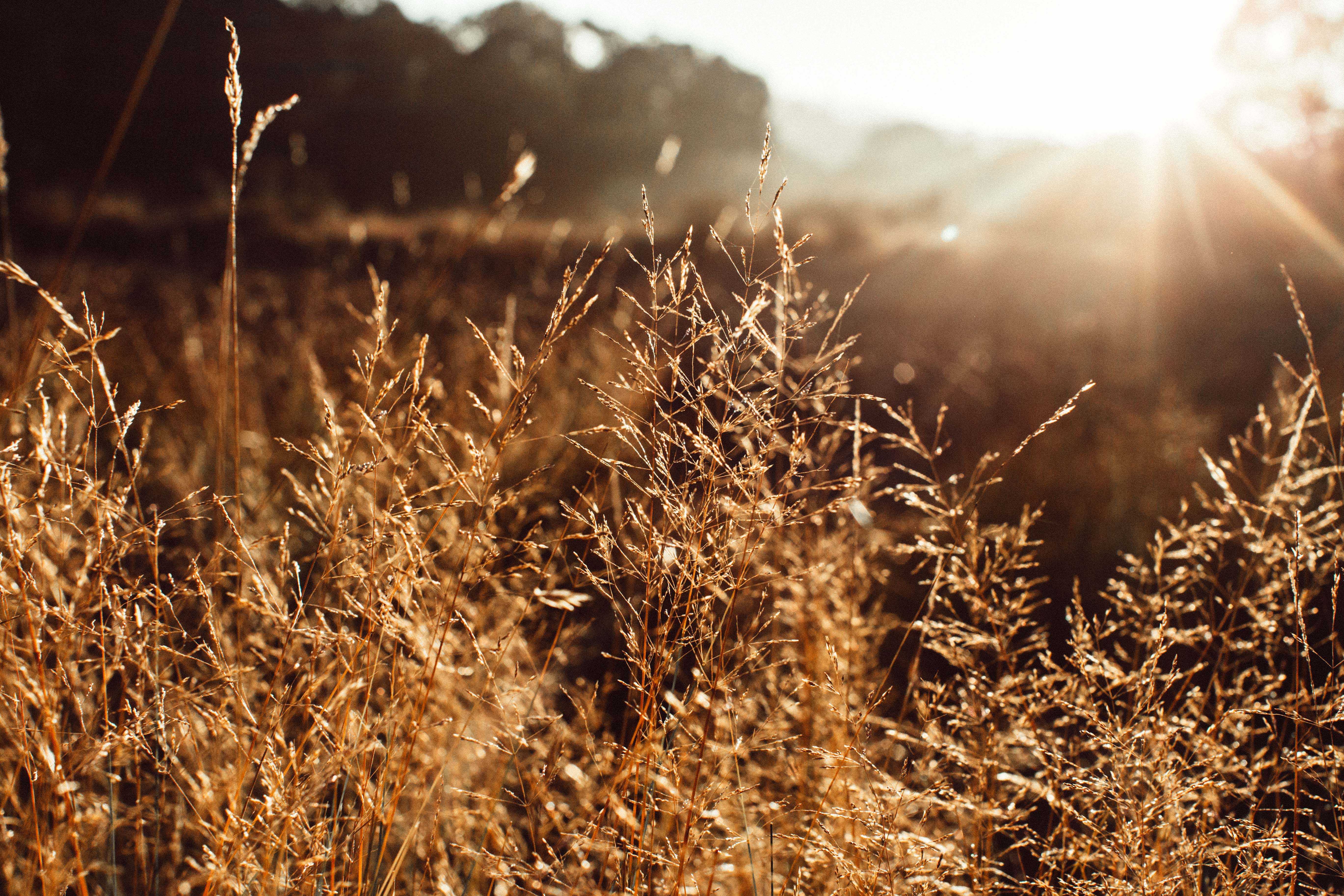 Highland Wild Sunrise Photographic Print - Emily O'Brien