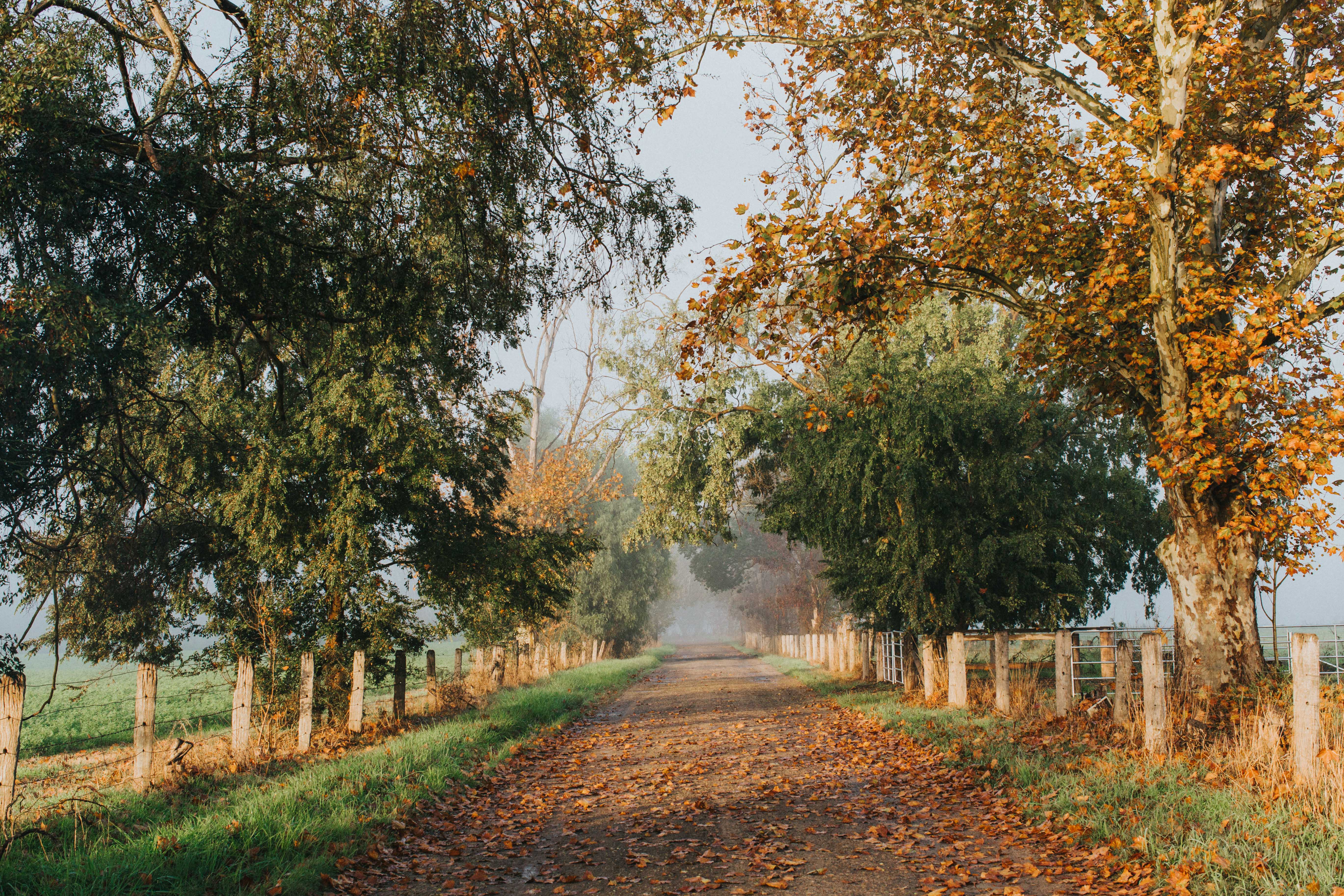 Brownlow Hill I Photographic Print - Emily O'Brien