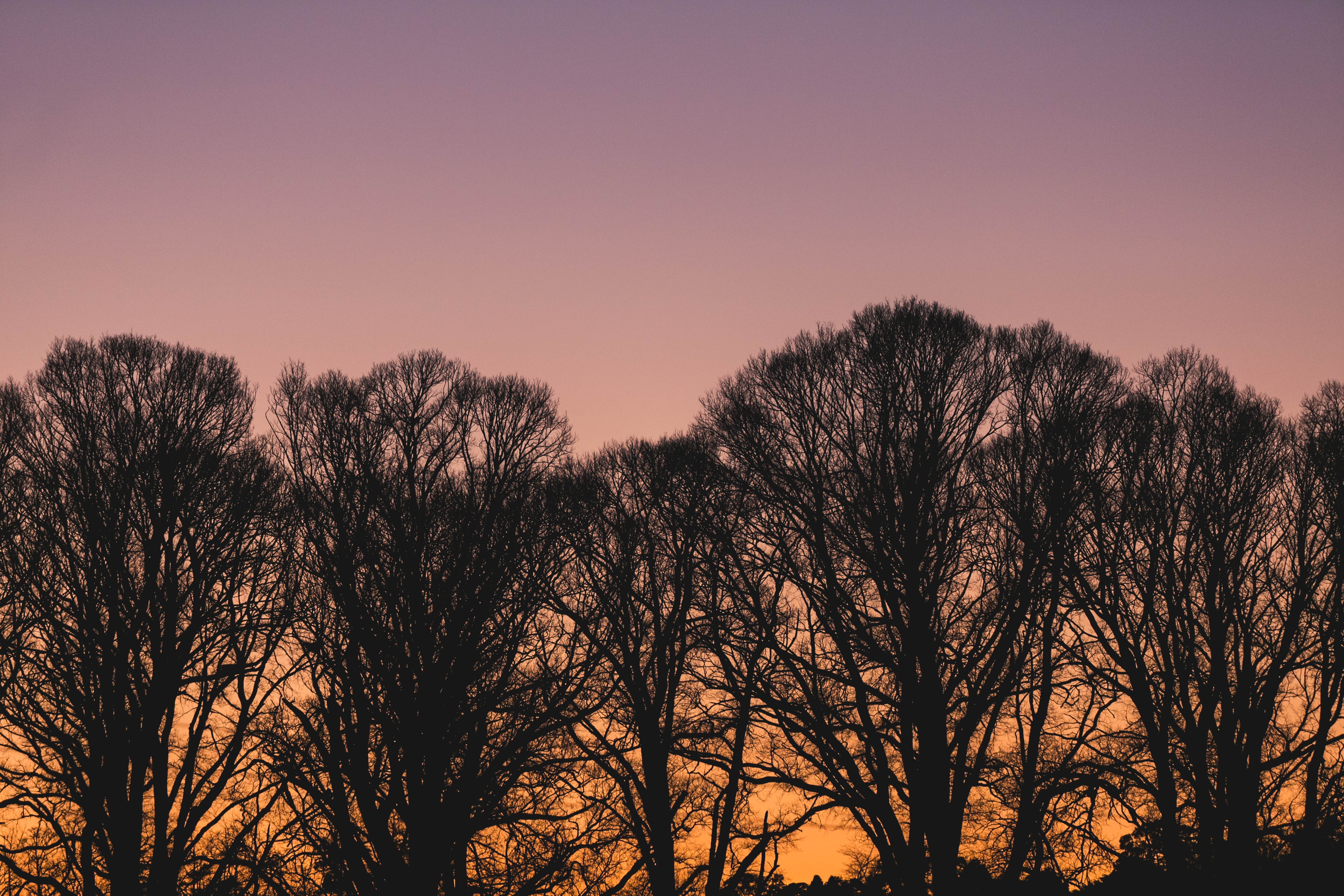 Burnt Sunrise Photographic Print - Emily O'Brien