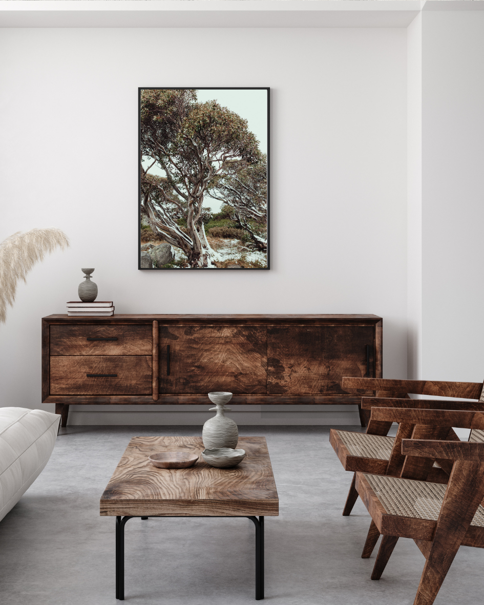 Snow Gum Kosciuszko I Photographic Print