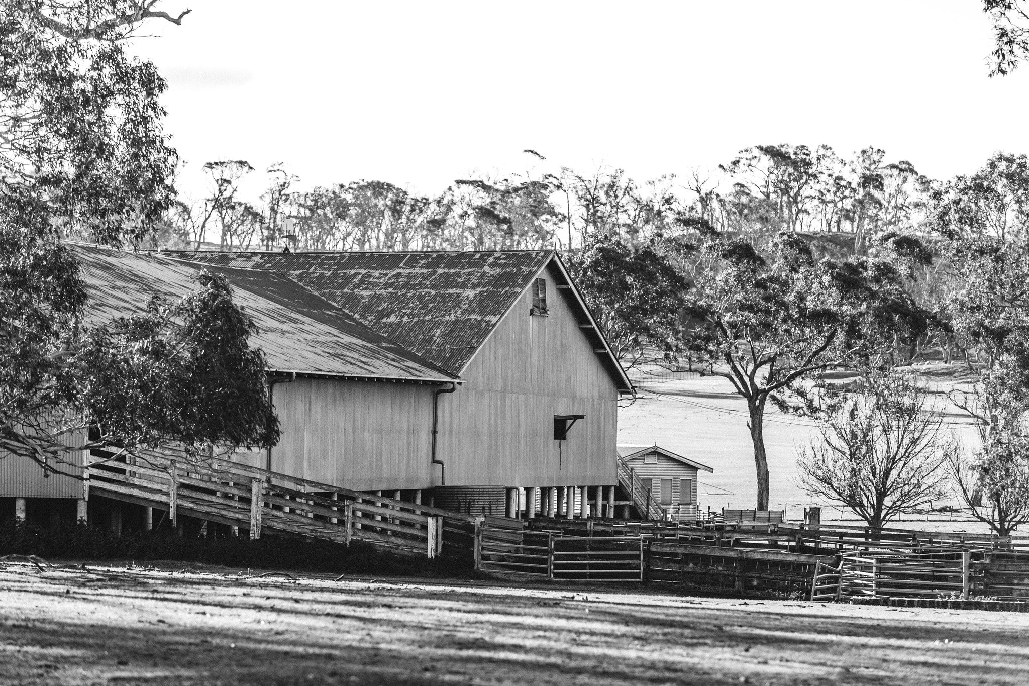 Australian Sheep Shed Photographic Print - Emily O'Brien