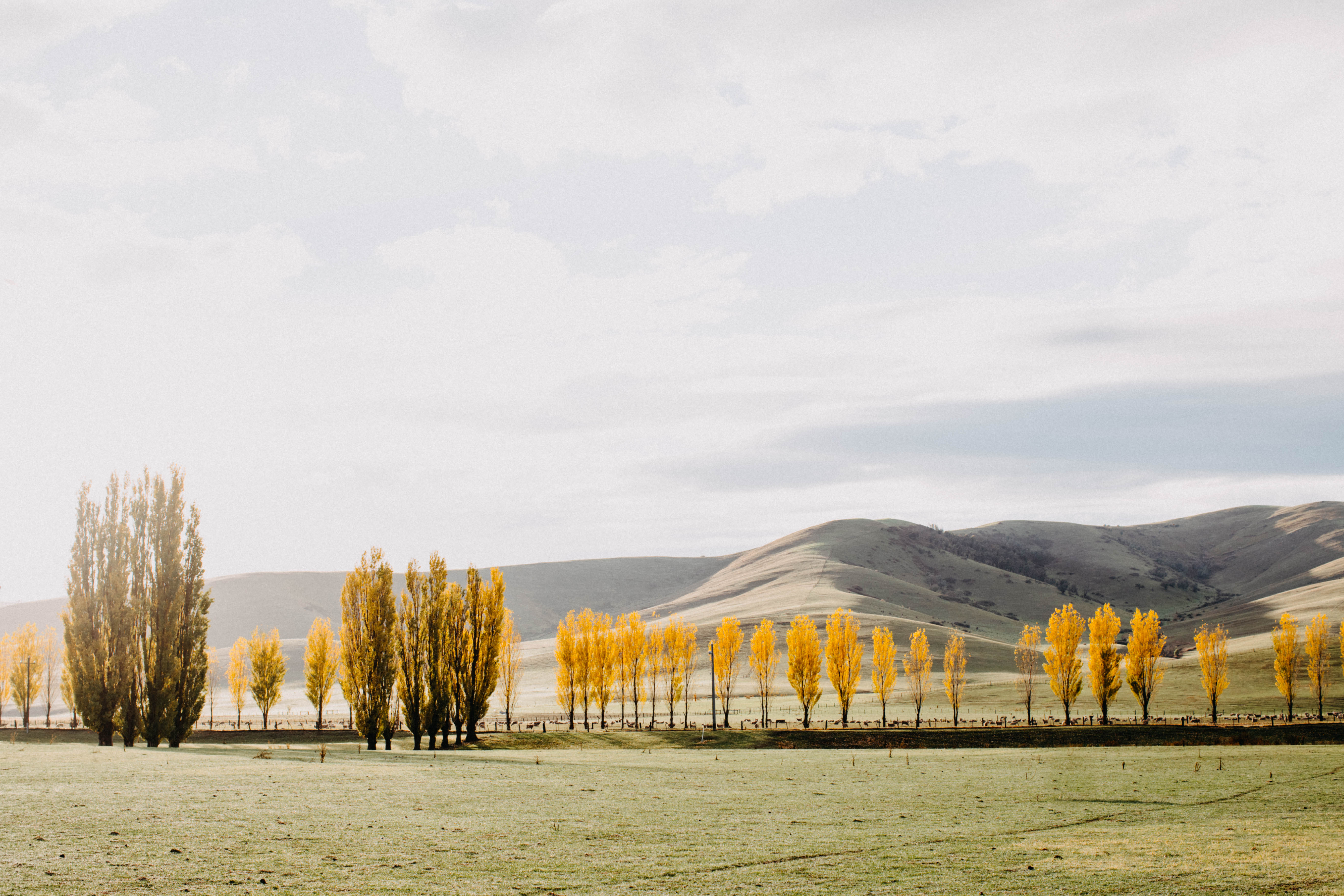 Omeo I Photographic Print
