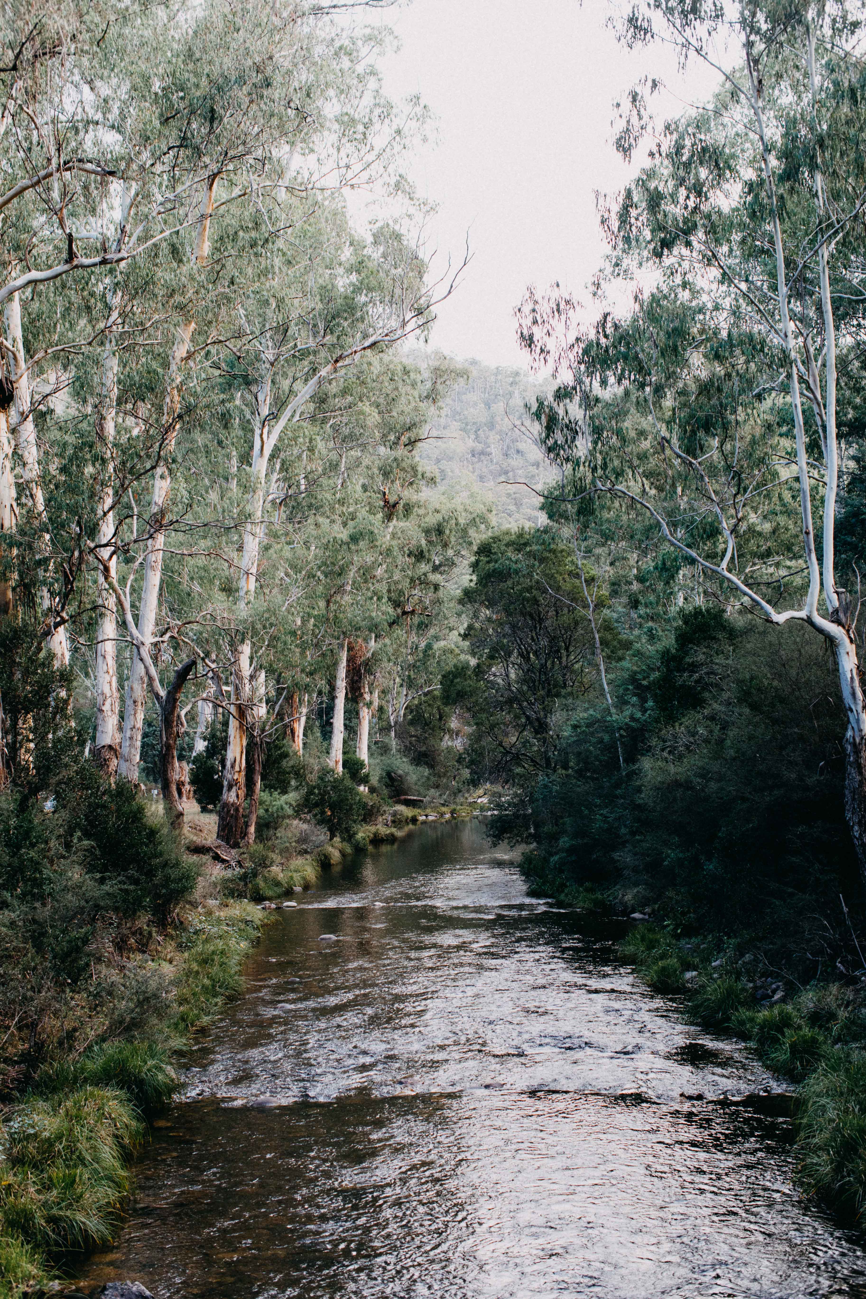 Down by the River I Photographic Print
