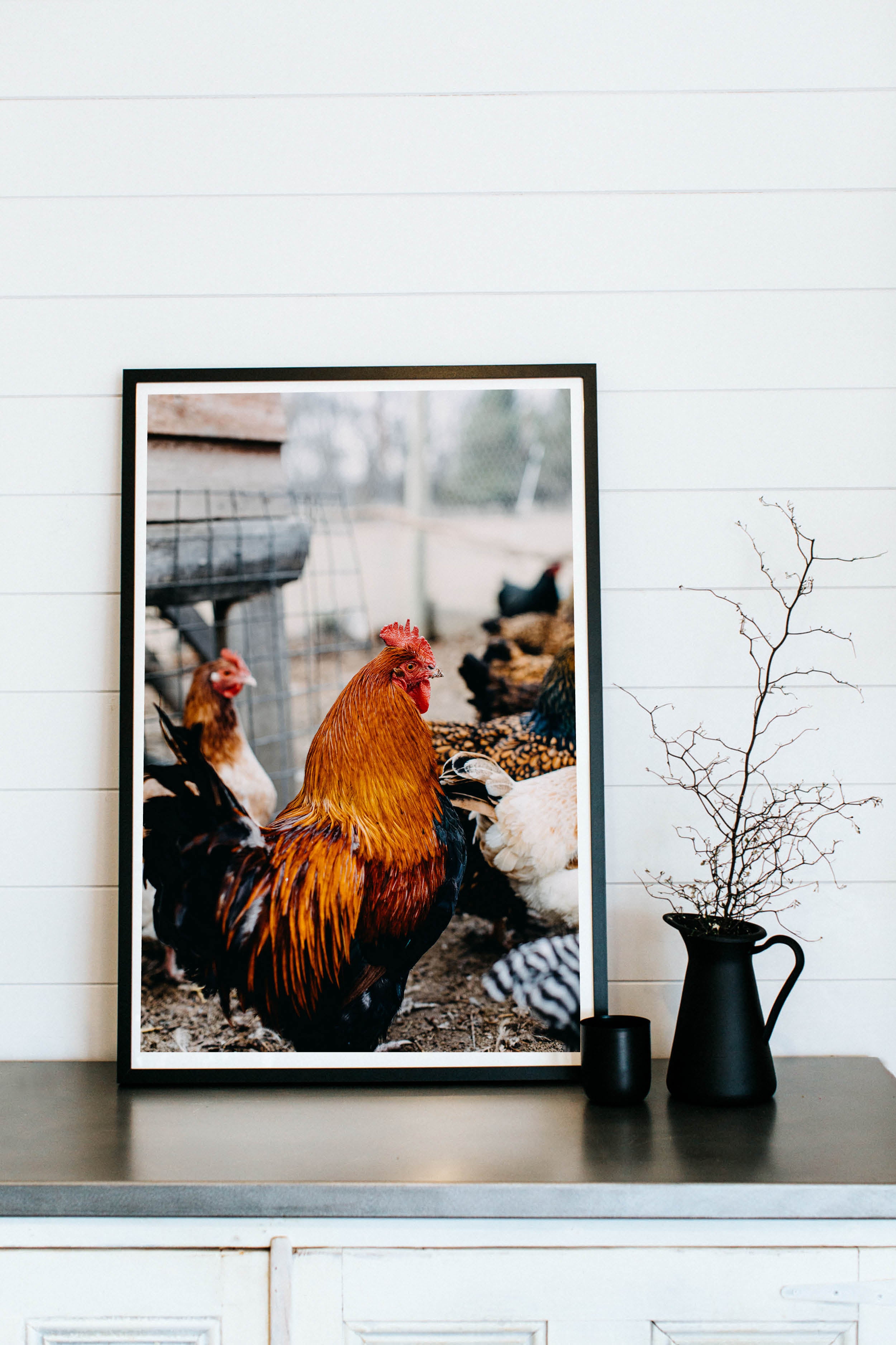 A Brood of Hens III Photographic Print