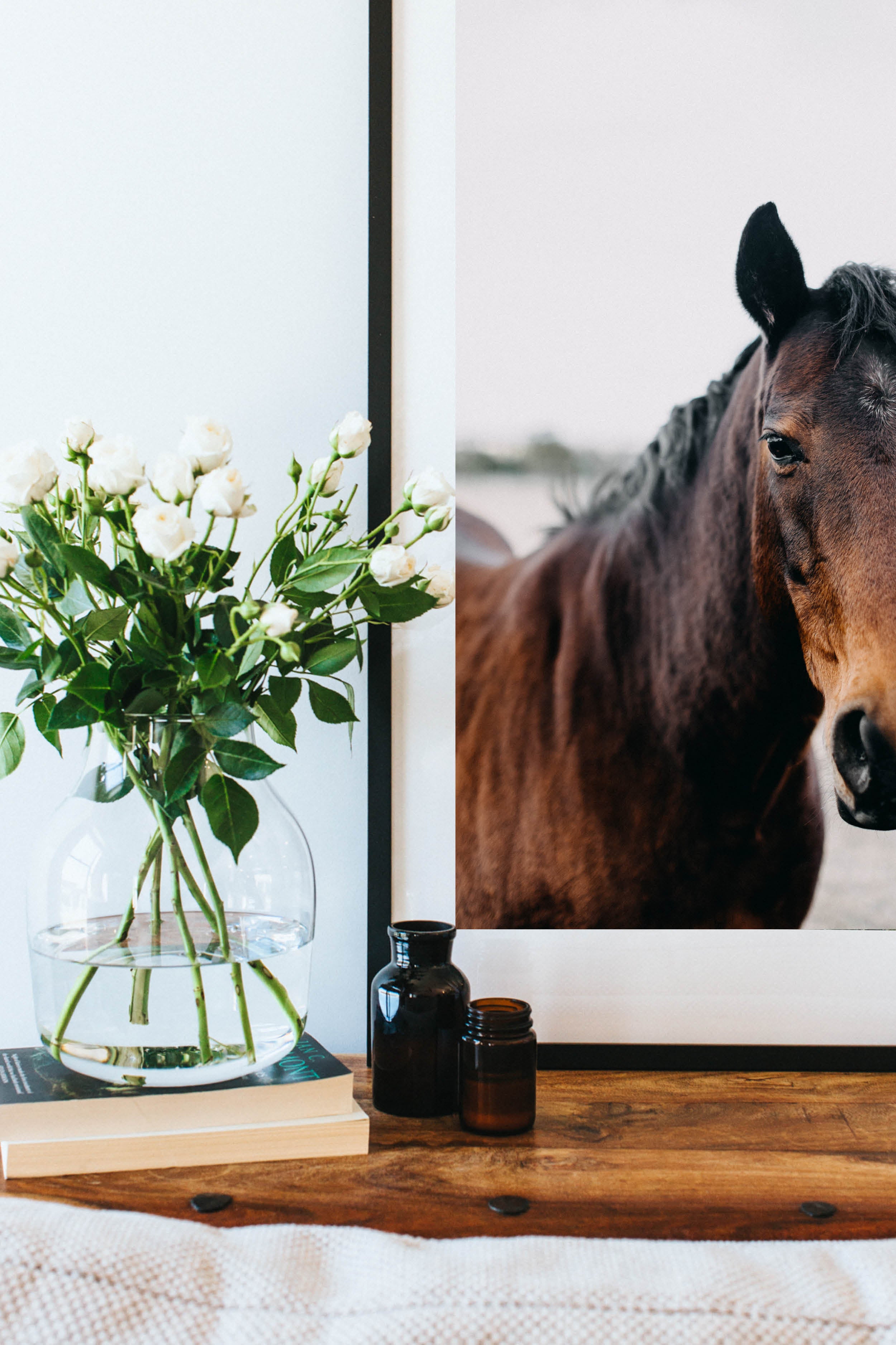 Albert the Horse Photographic Print