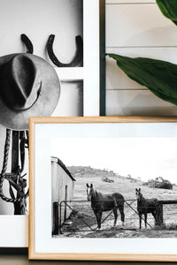 Alice + Eve Horses B+W  Photographic Print