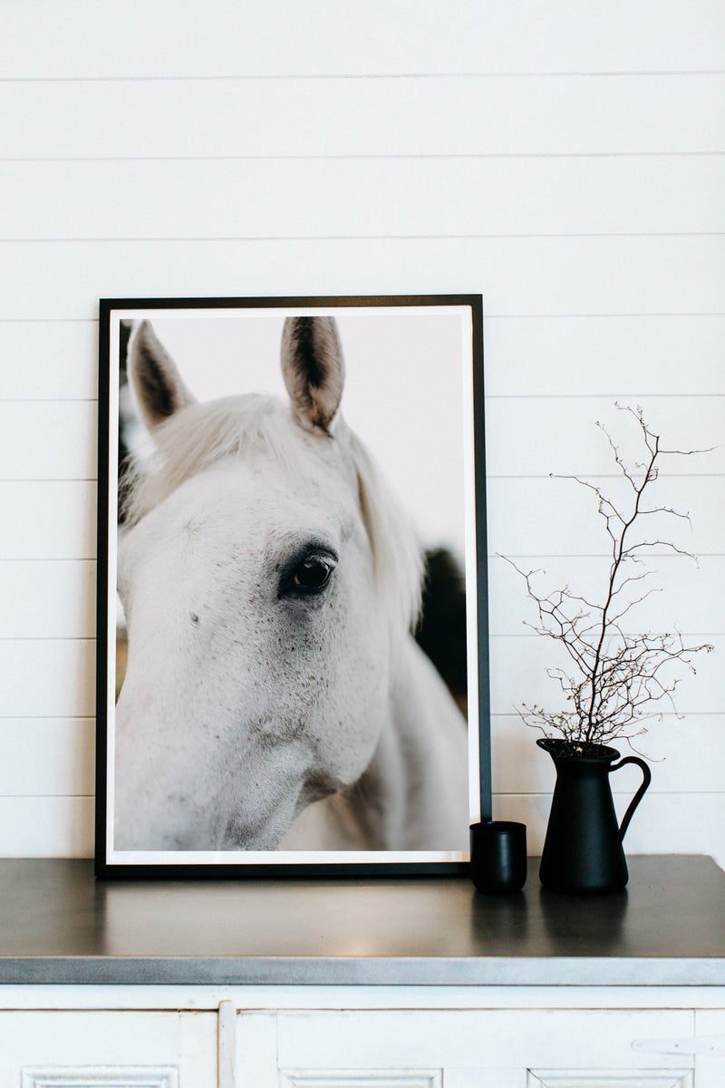 Arthur the White Horse Photographic Print - Emily O'Brien